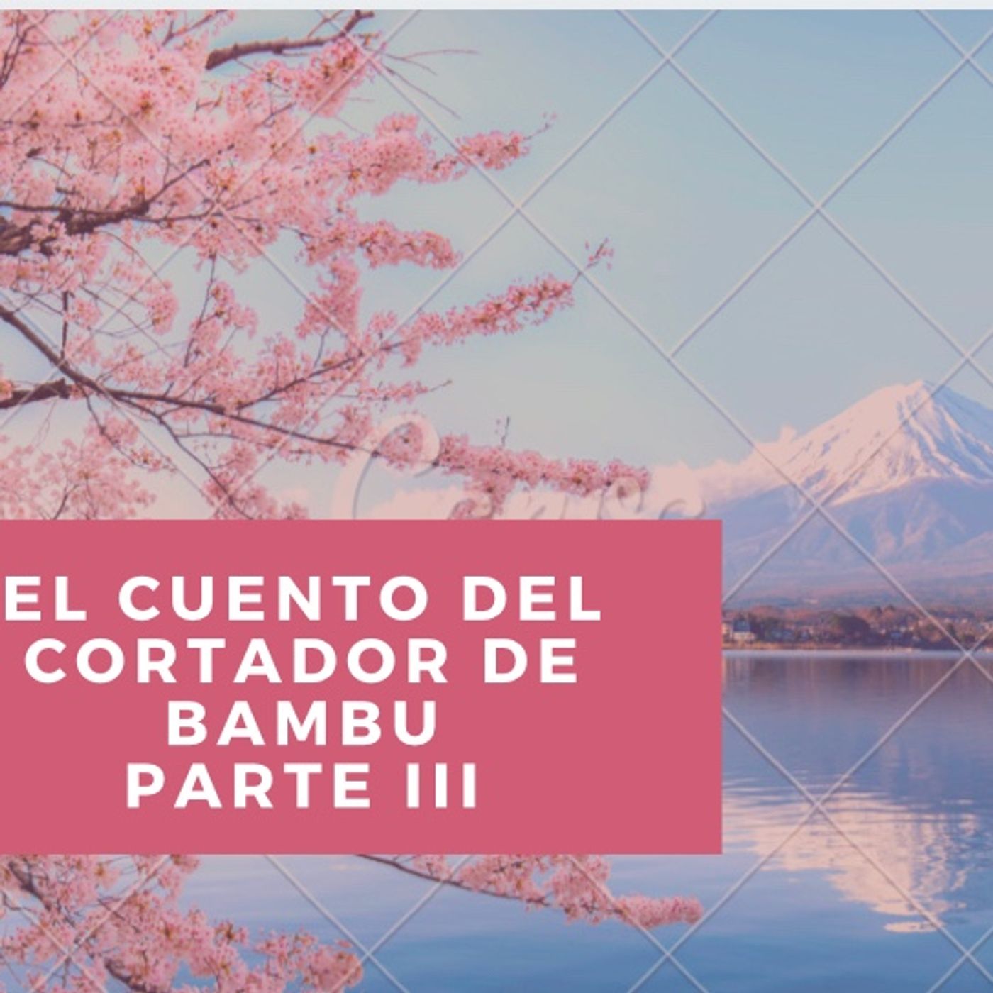 El Cuarto De Atrás