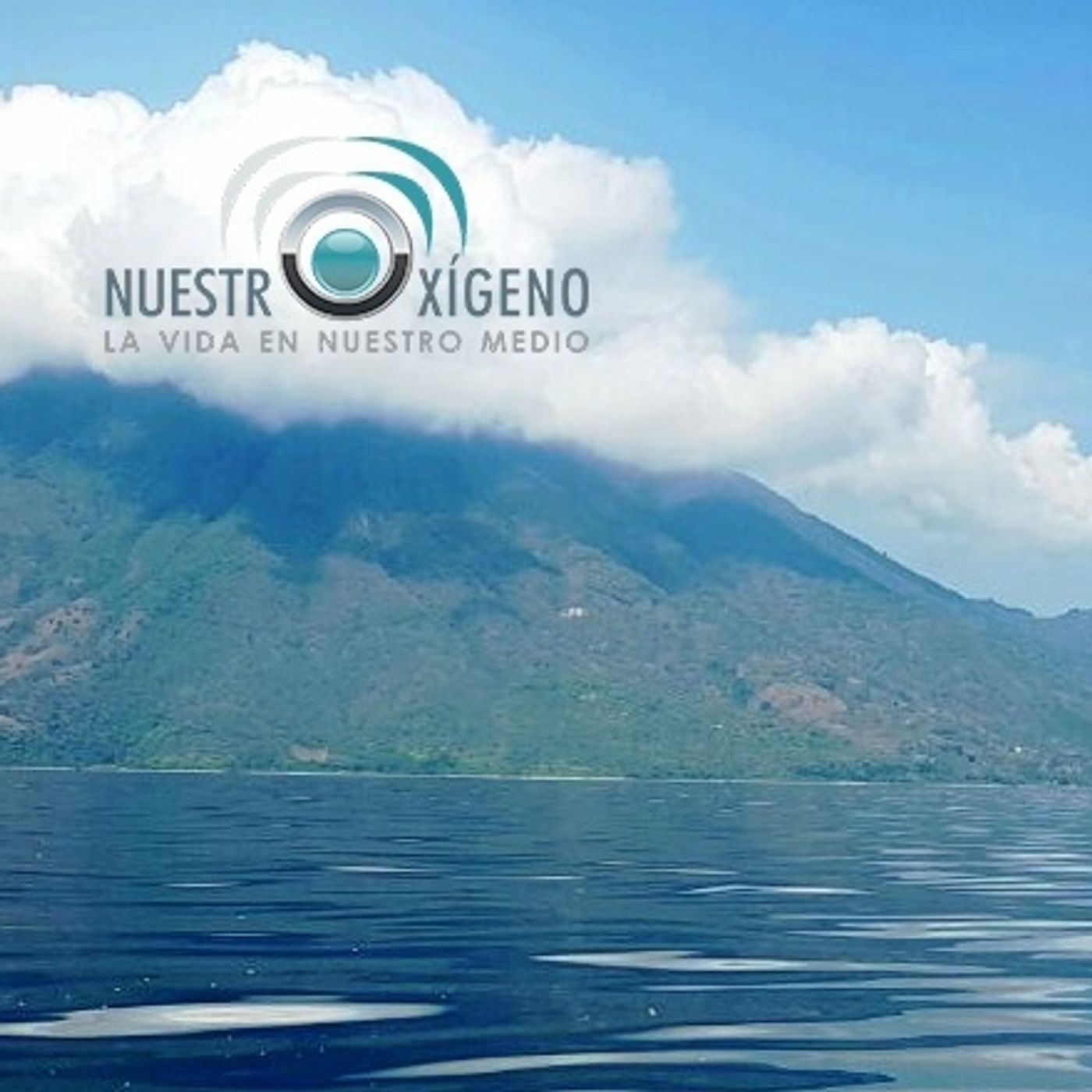 NUESTRO OXÍGENO 8 de junio Día Mundial de los Océanos