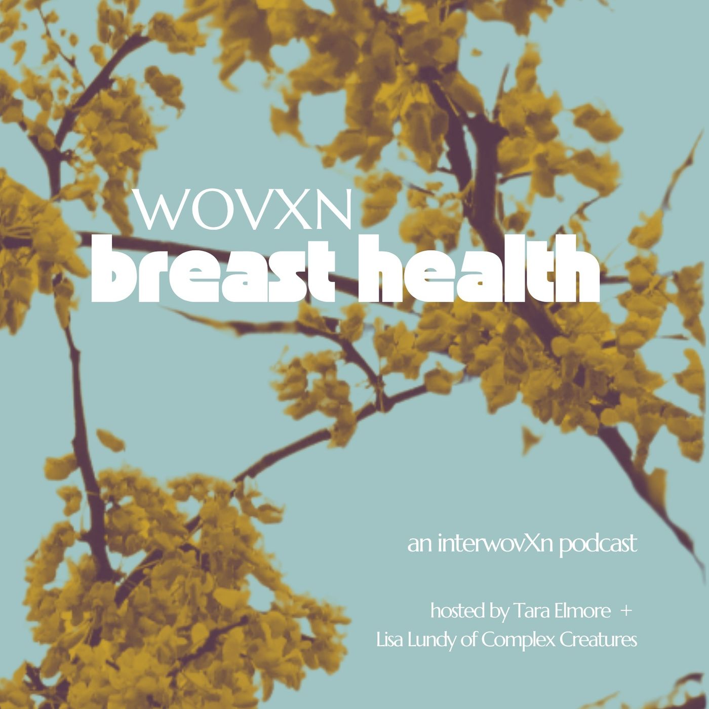 WOVXN Breast Health: Sleep episode artwork