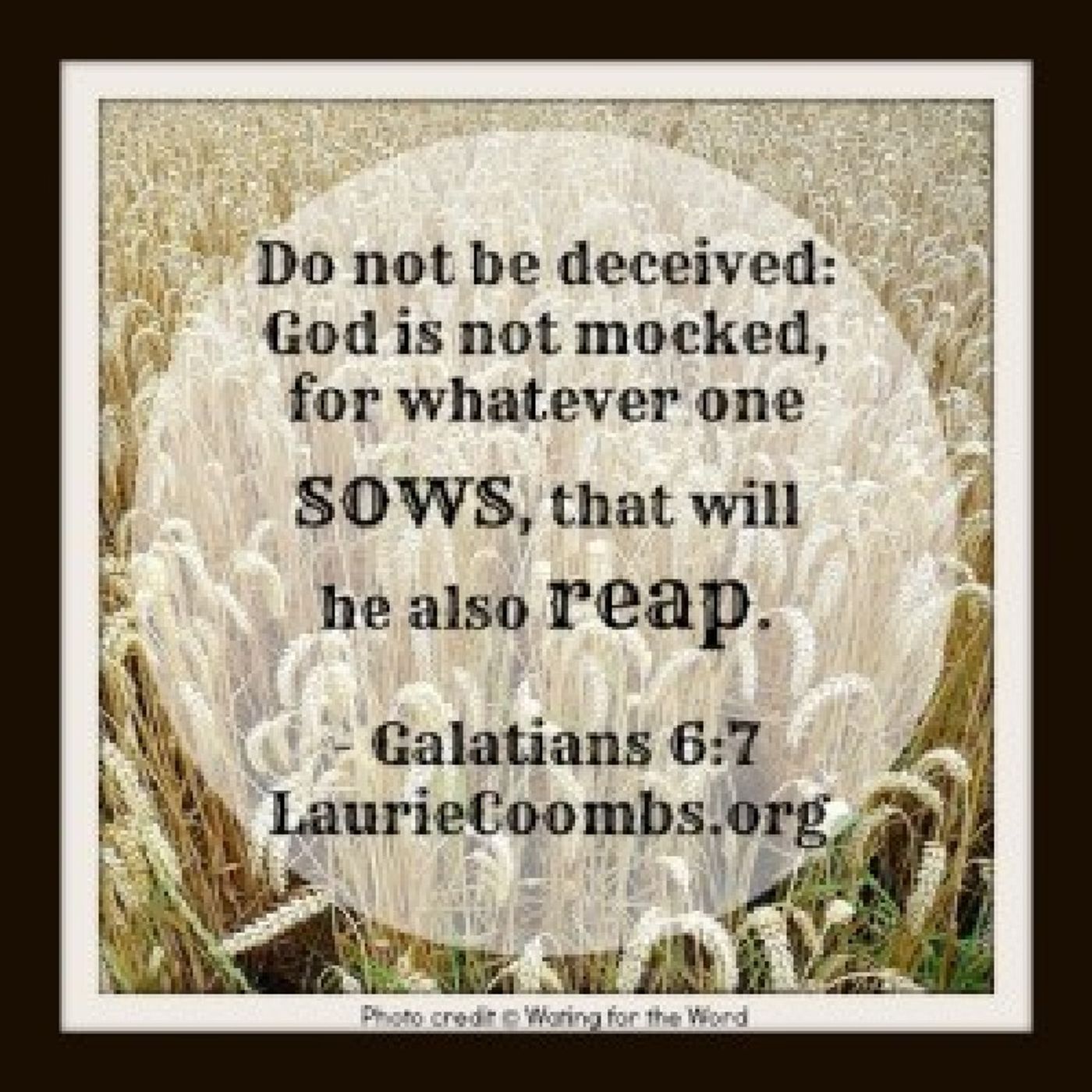 P.1:2.3RD PEOPLE OF THE LORD R SO FAKE!(YAH IS PUNISHEN THESE TYPES!!REPENT!DONT COME NEAR MY 1.3RD!) episode artwork