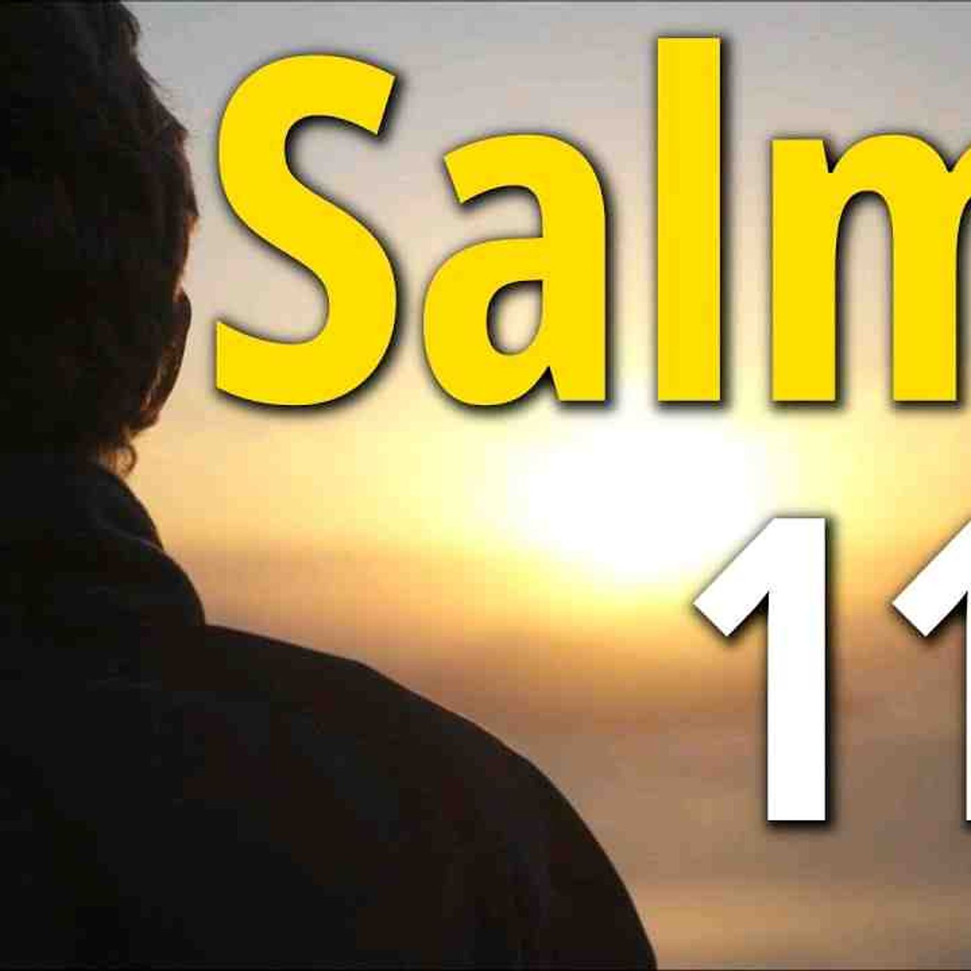 Salmo 119 _ encuentra la alegría y felicidad en Dios _ devocional(MP3_160K)