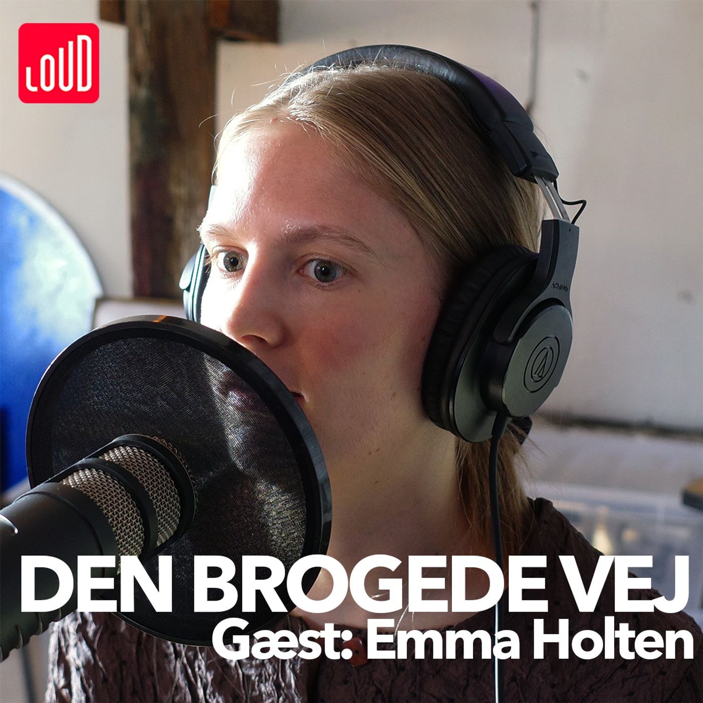 Den Brogede Vej