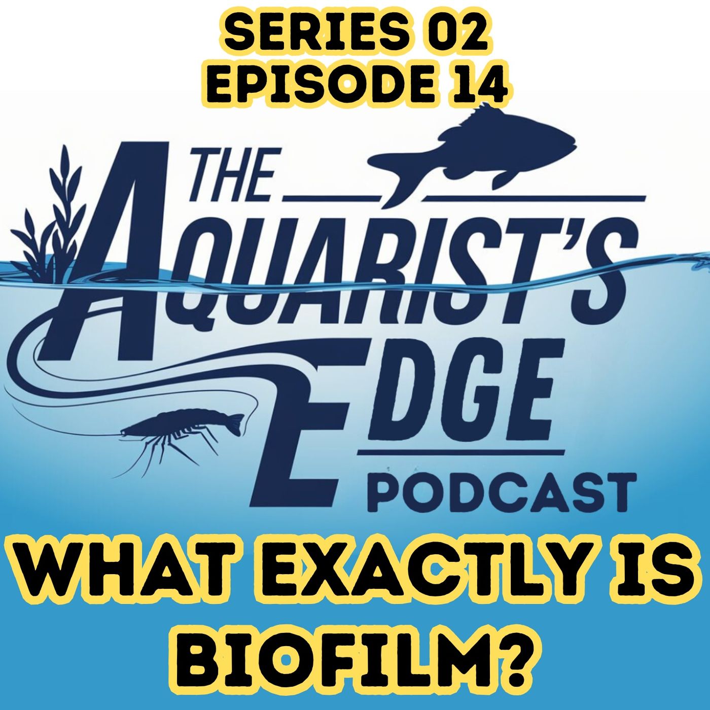 The Aquarist\'s Edge