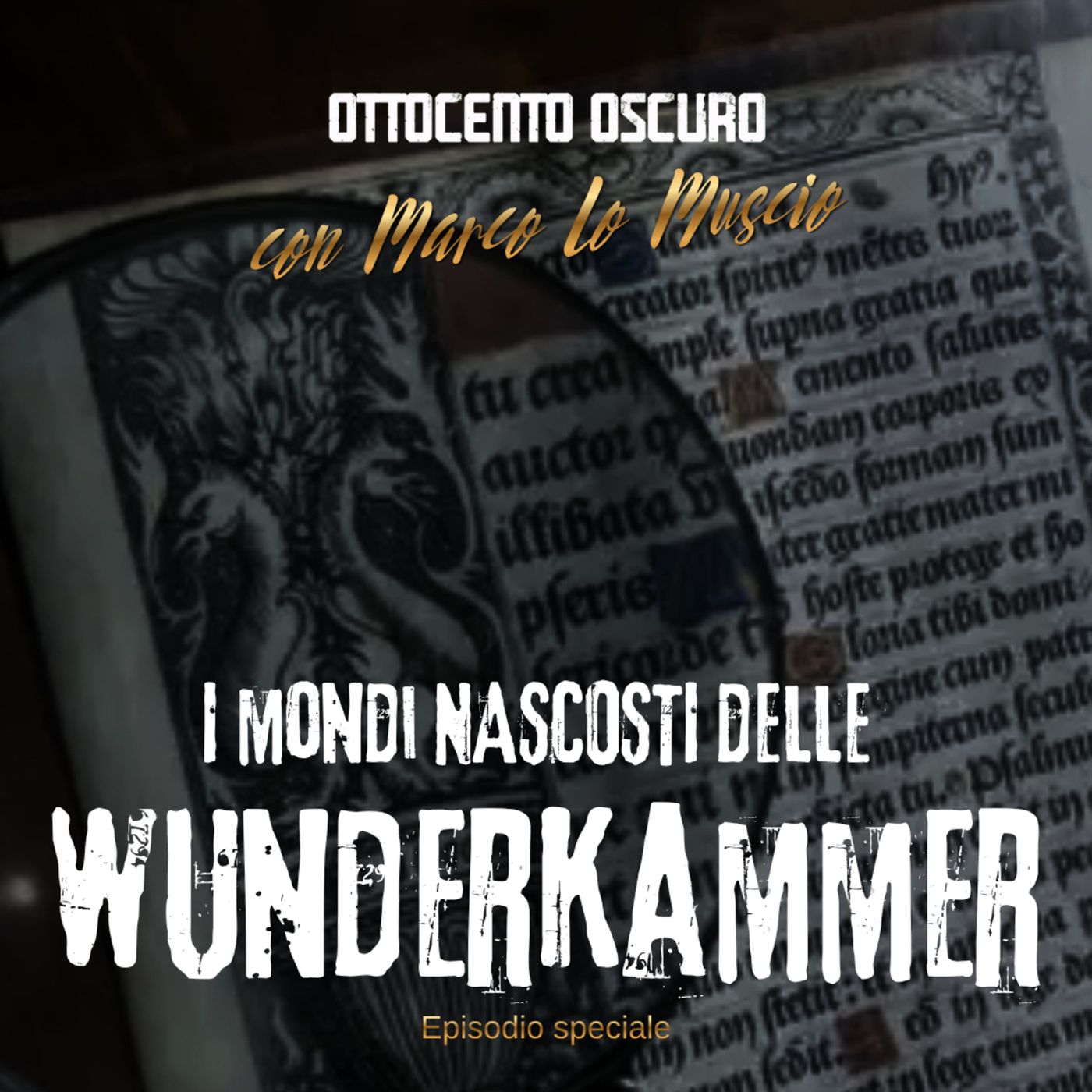 I mondi nascosti delle wunderkammer - feat. Marco Lo Muscio