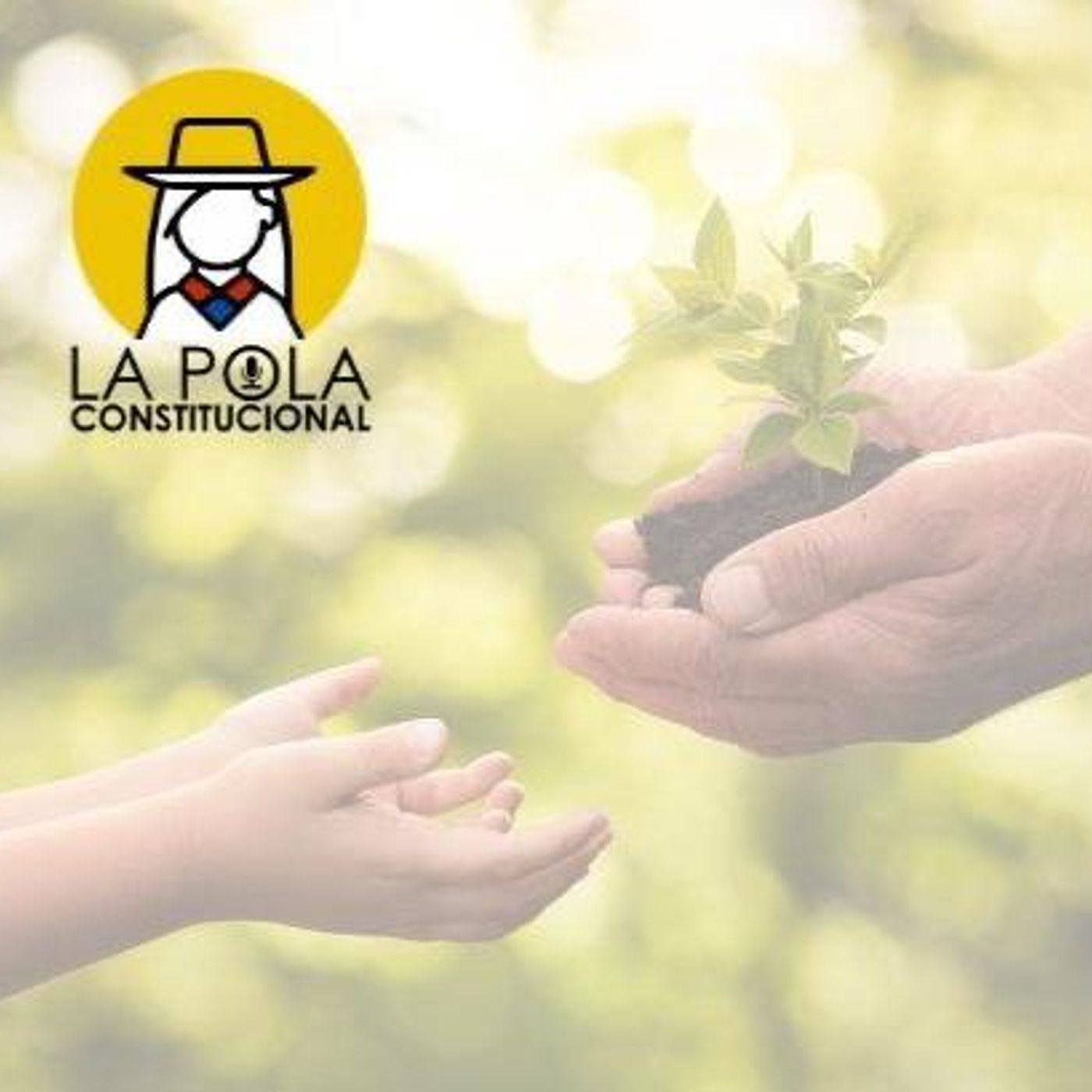 ¿Desarrollo o retroceso? Una perspectiva ambiental de nuestras sociedades episode artwork