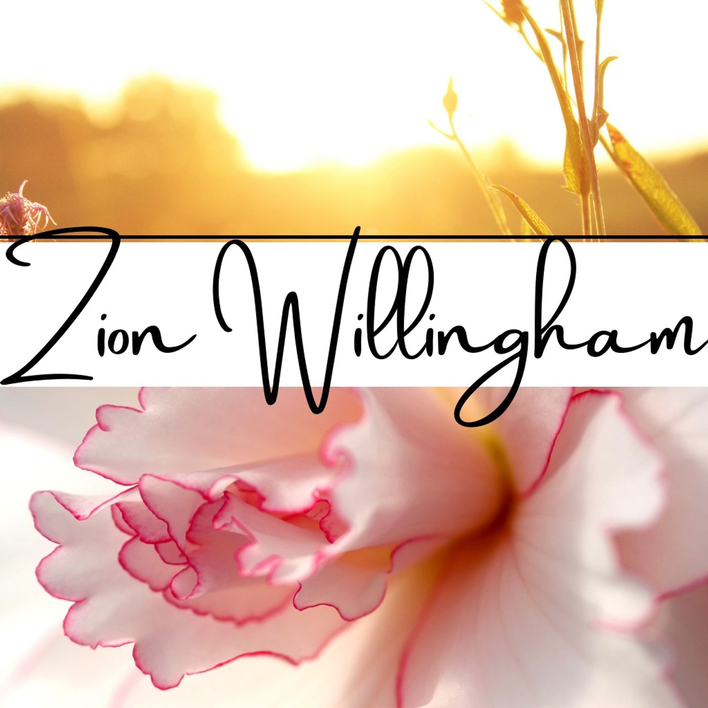 Where in the word is Sister Zion episode artwork