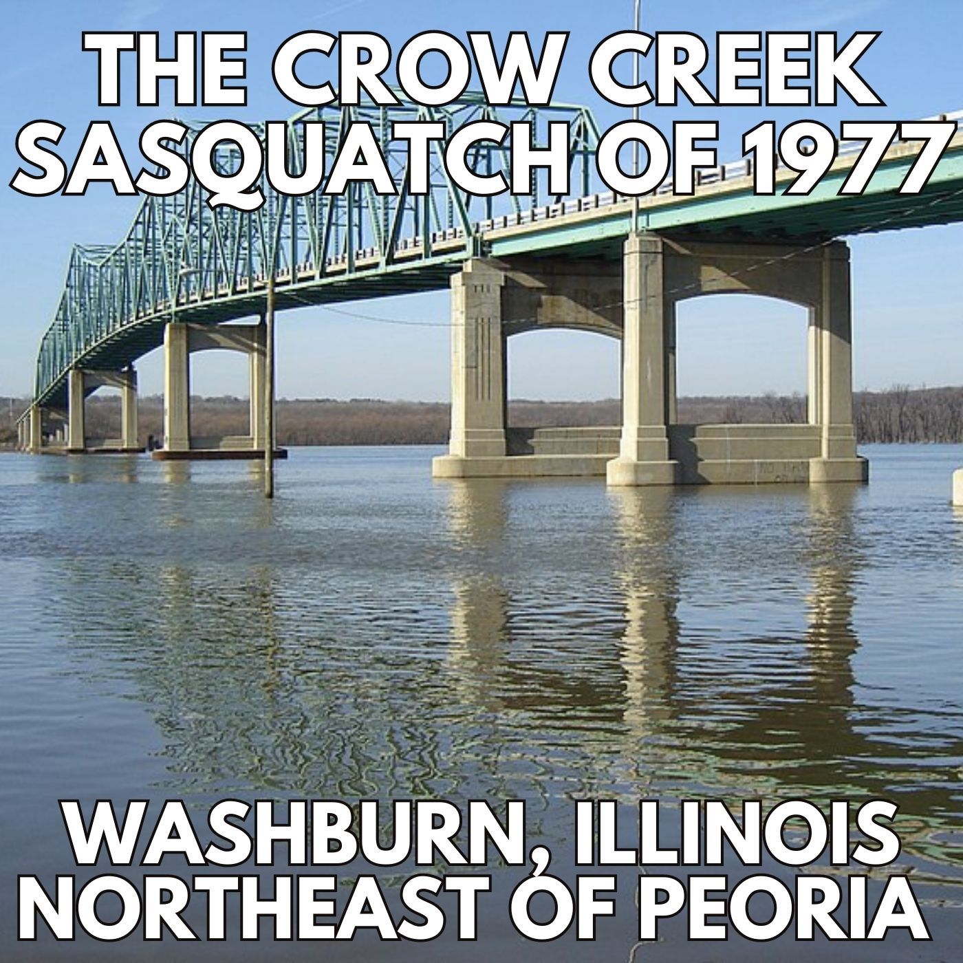 Bigfoot Encounter at Crow Creek, Illinois