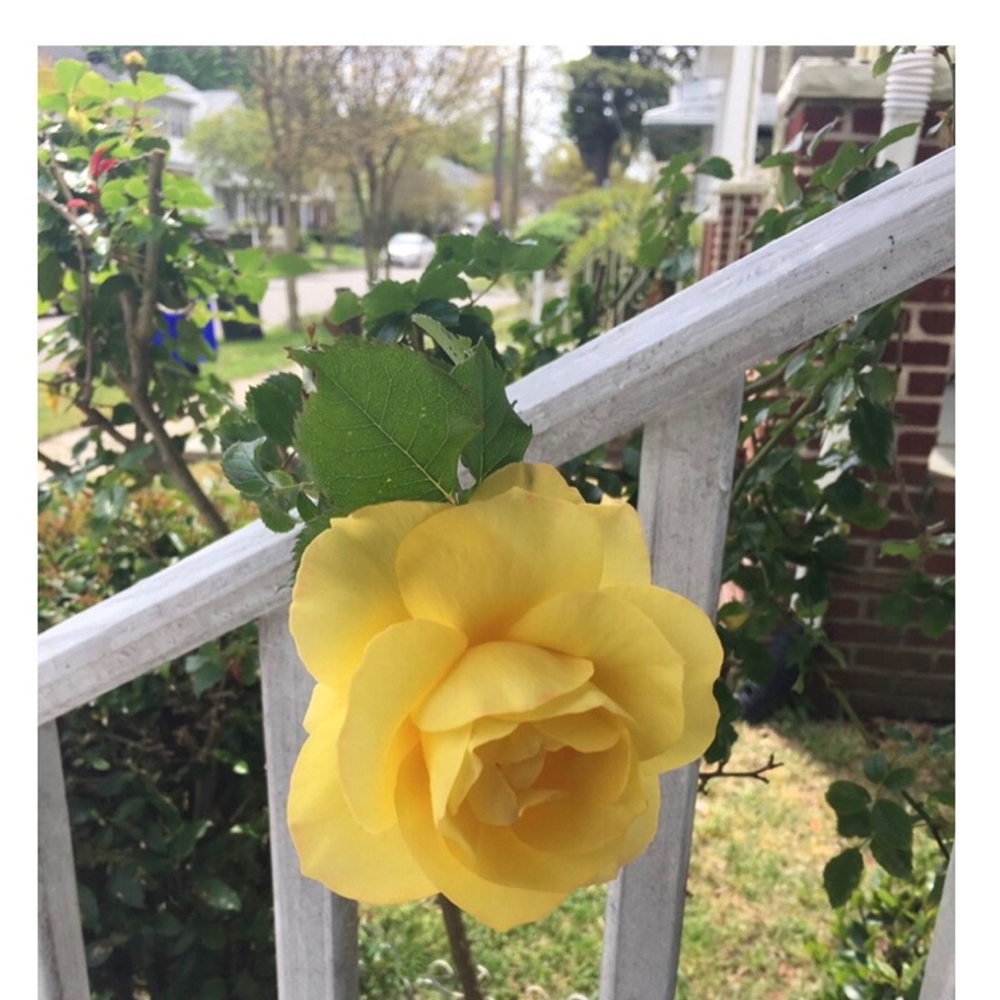 77) Being God’s Vessel Podcast - Connected, Pruned and Fruitful