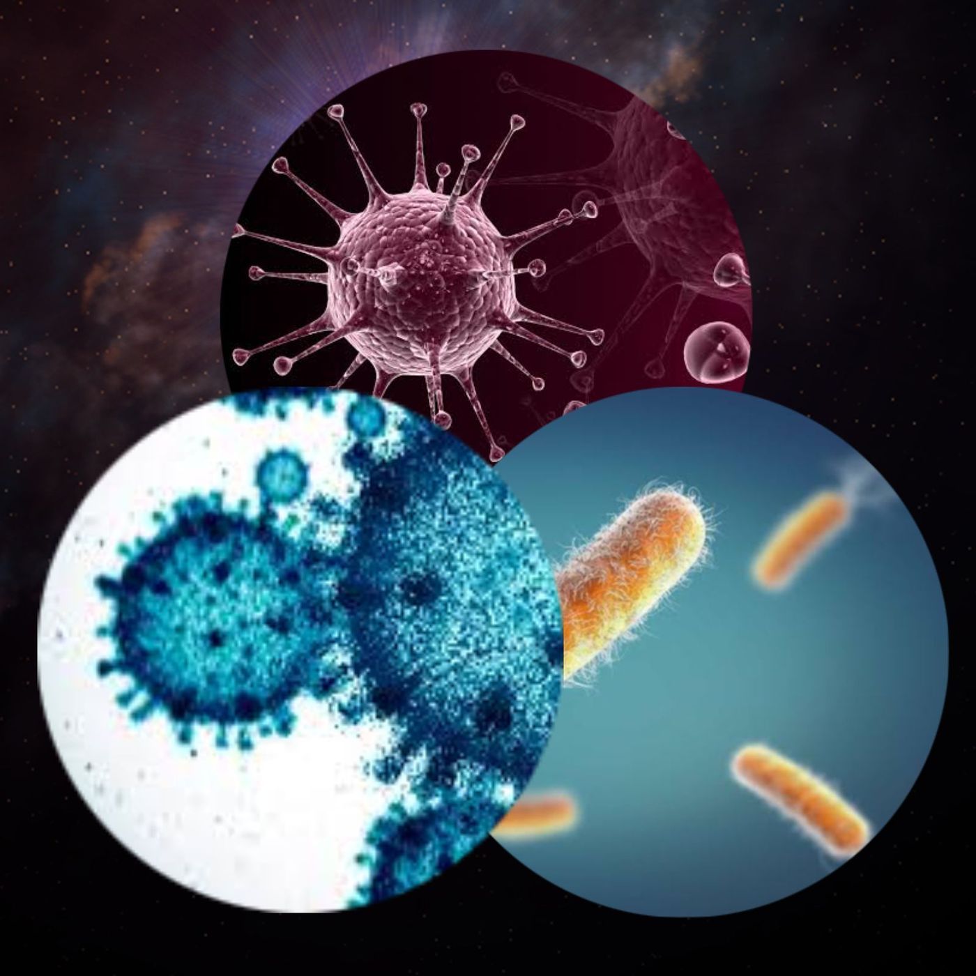 Reduce the Impact of Disease
