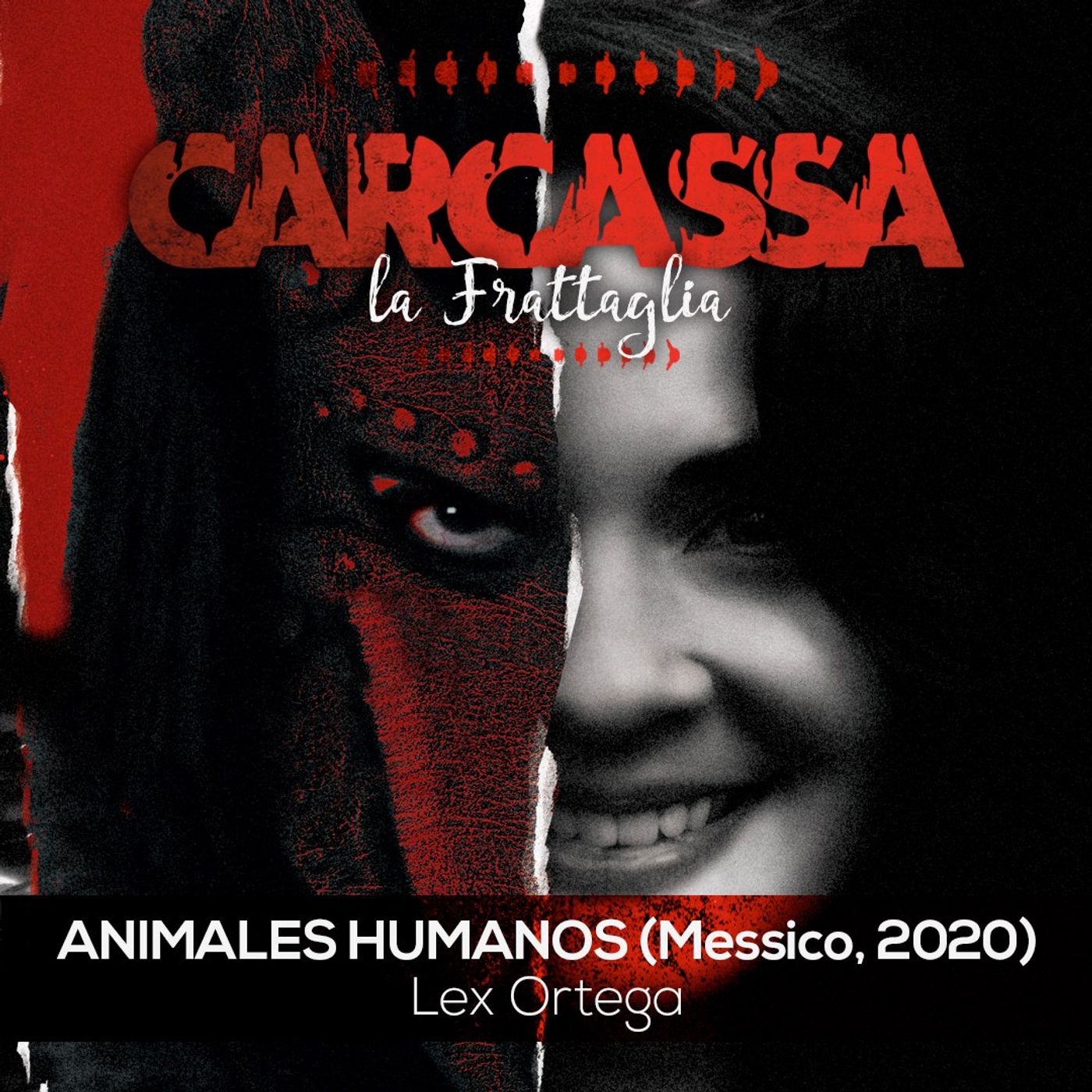 Carcassa