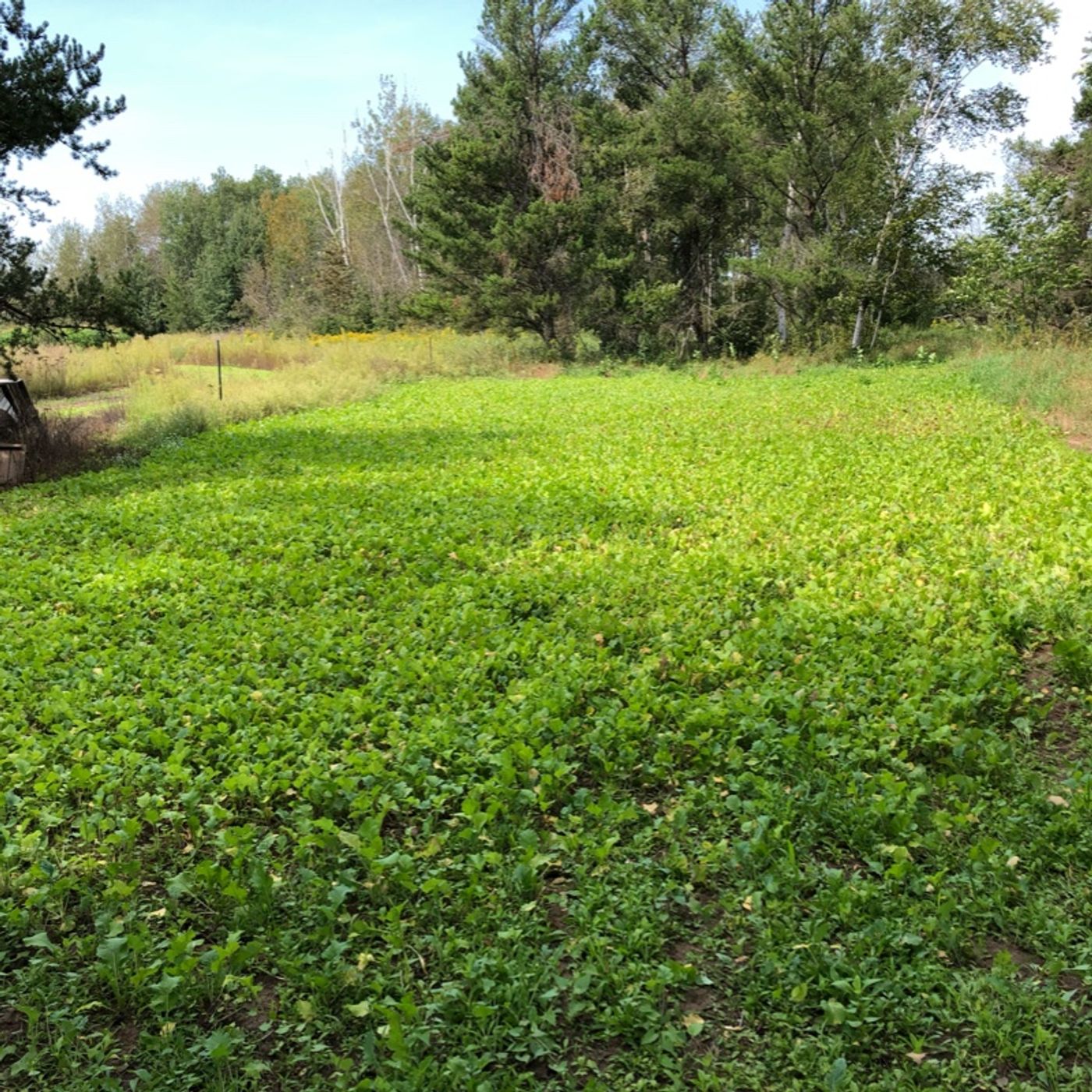 #1,082 Stocks close out the week in the red.  Market update