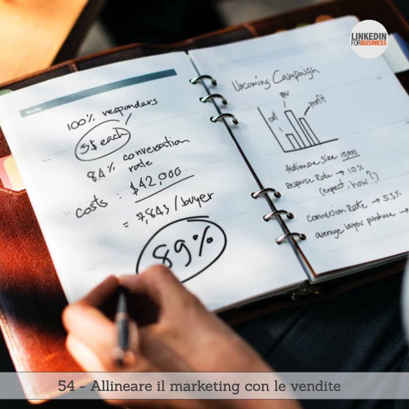 LinkedinForBusiness by Leonardo Bellini