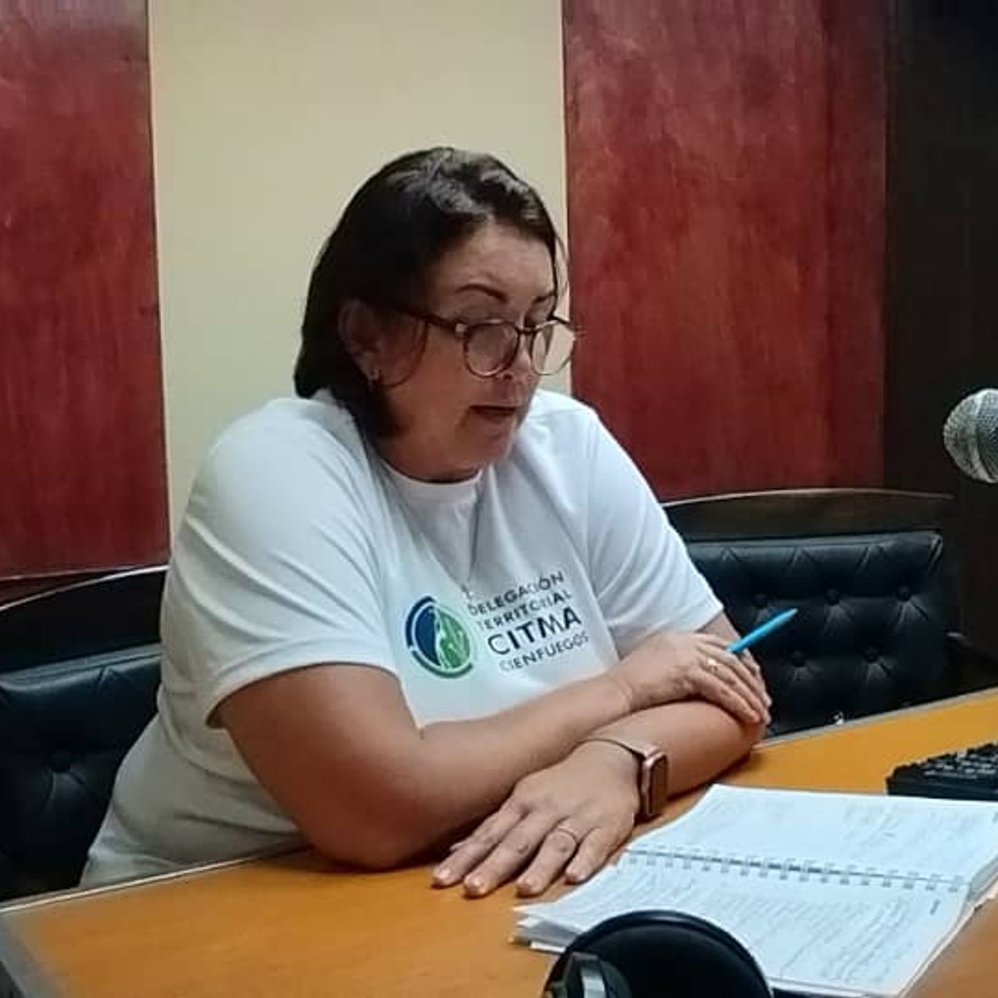 Podcast Perlavisión