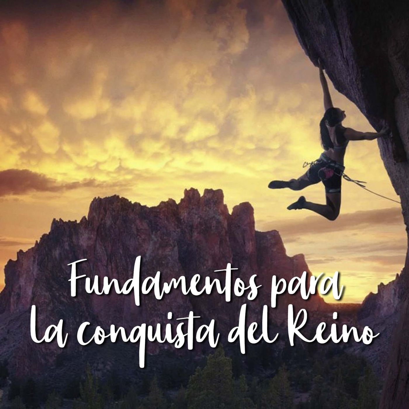 Fundamentos para la conquista del Reino