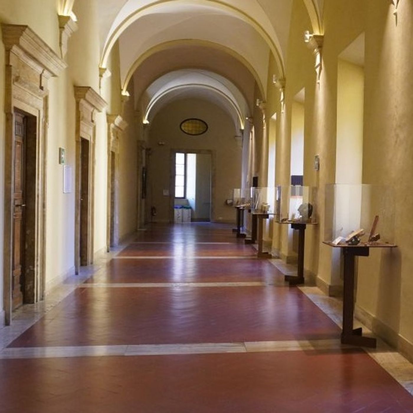 I Musei universitari senesi raccontano