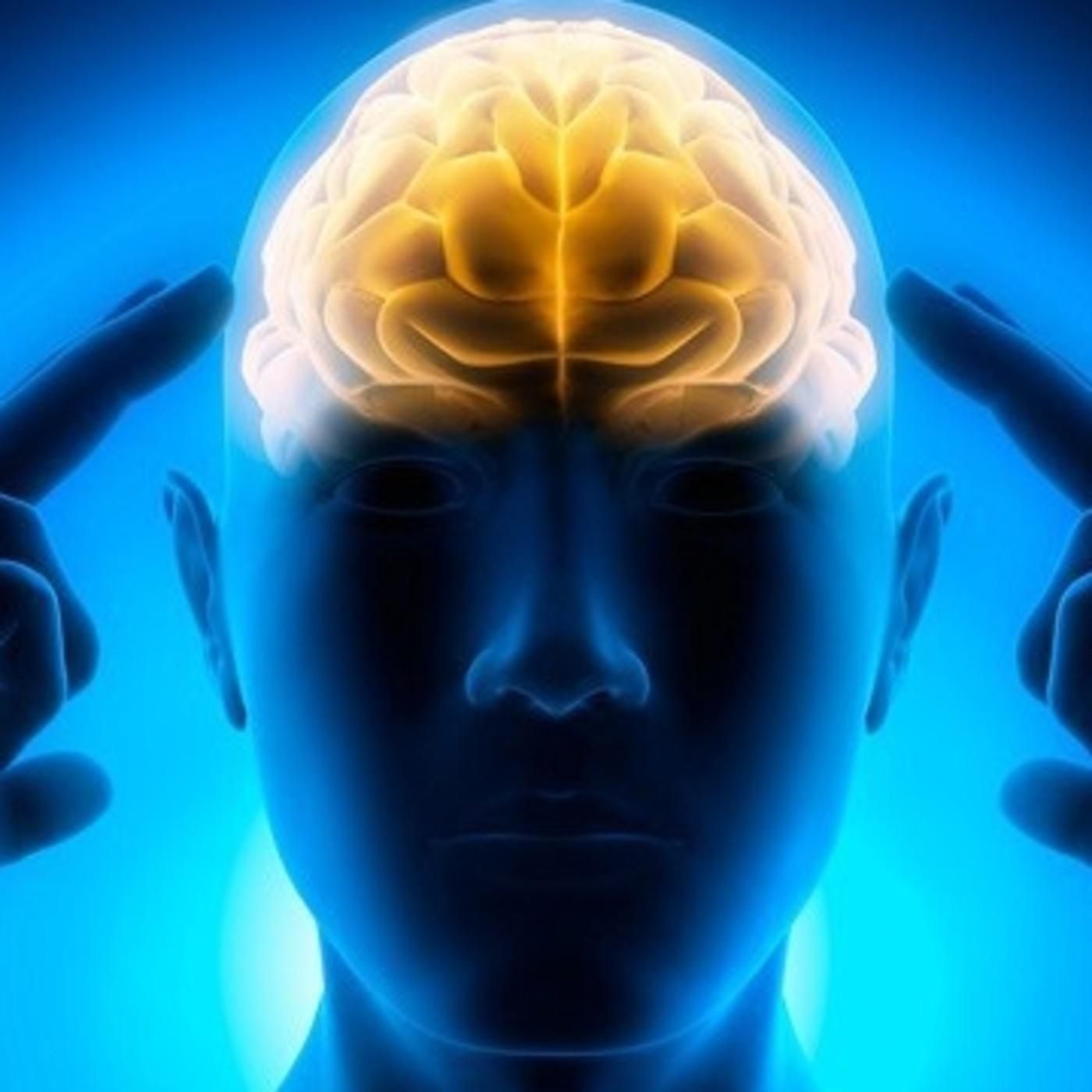 El gimnasio hoy en día