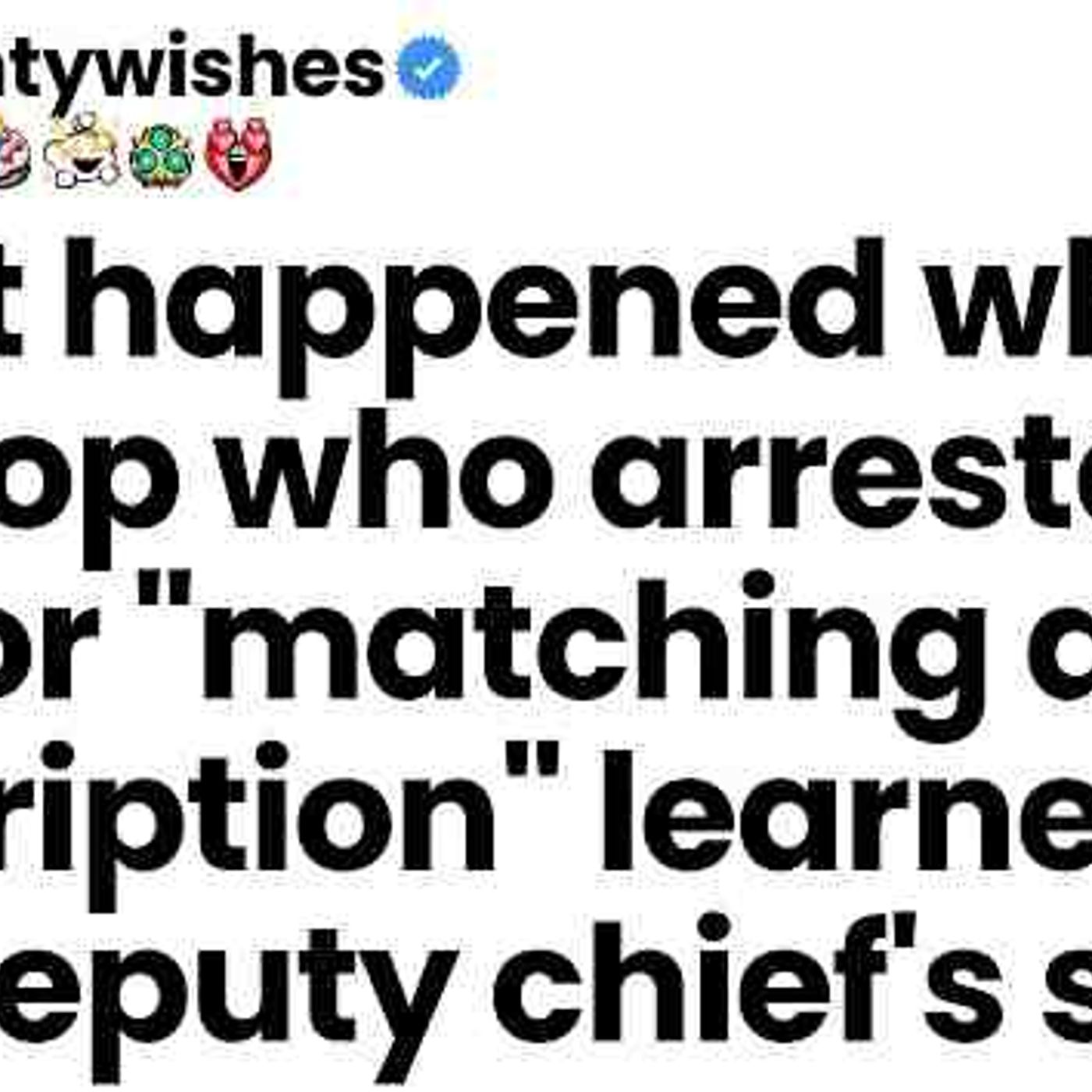 The cop arrested me for _matching a description__ but then learned I_m the Deputy Chief_s son episode artwork