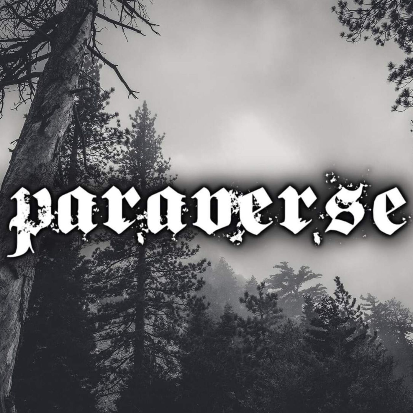 Paraverse - Live show and podcast series