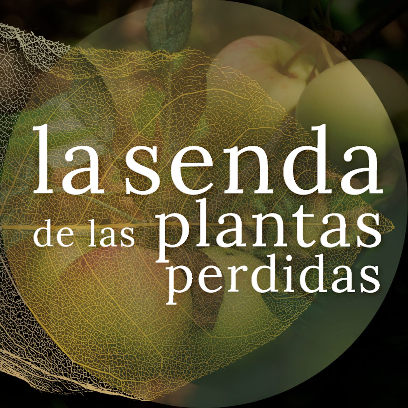La Senda de las Plantas Perdidas