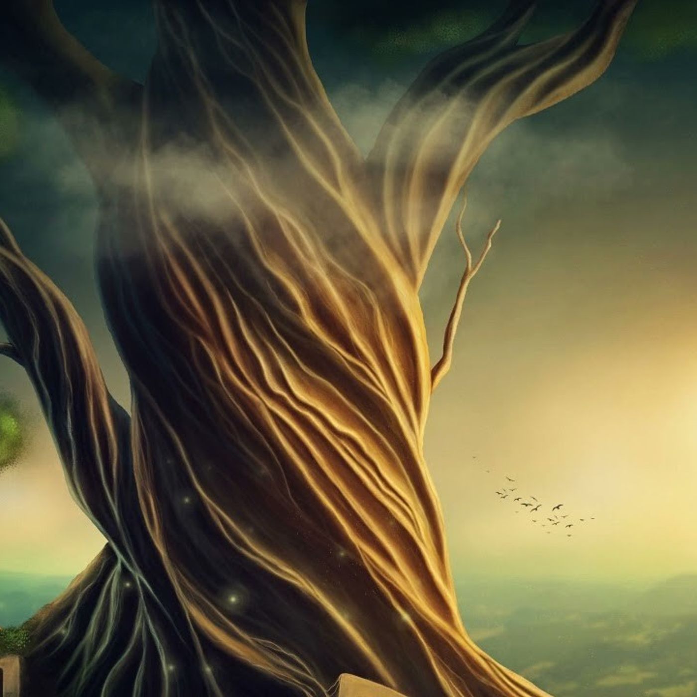 שמיני Manque de respect ... pas seulement | Paracha de la semaine