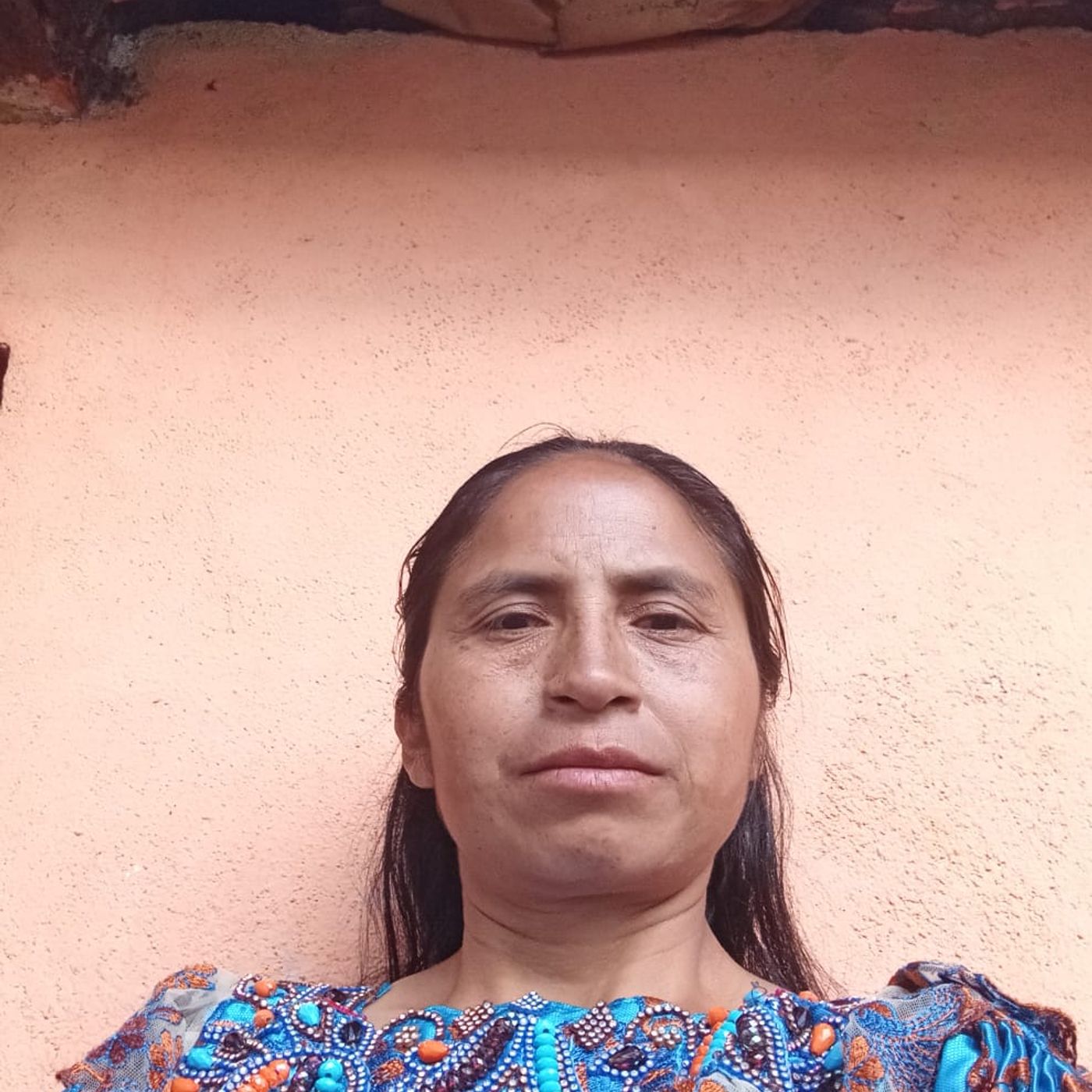 Los programas Educativos