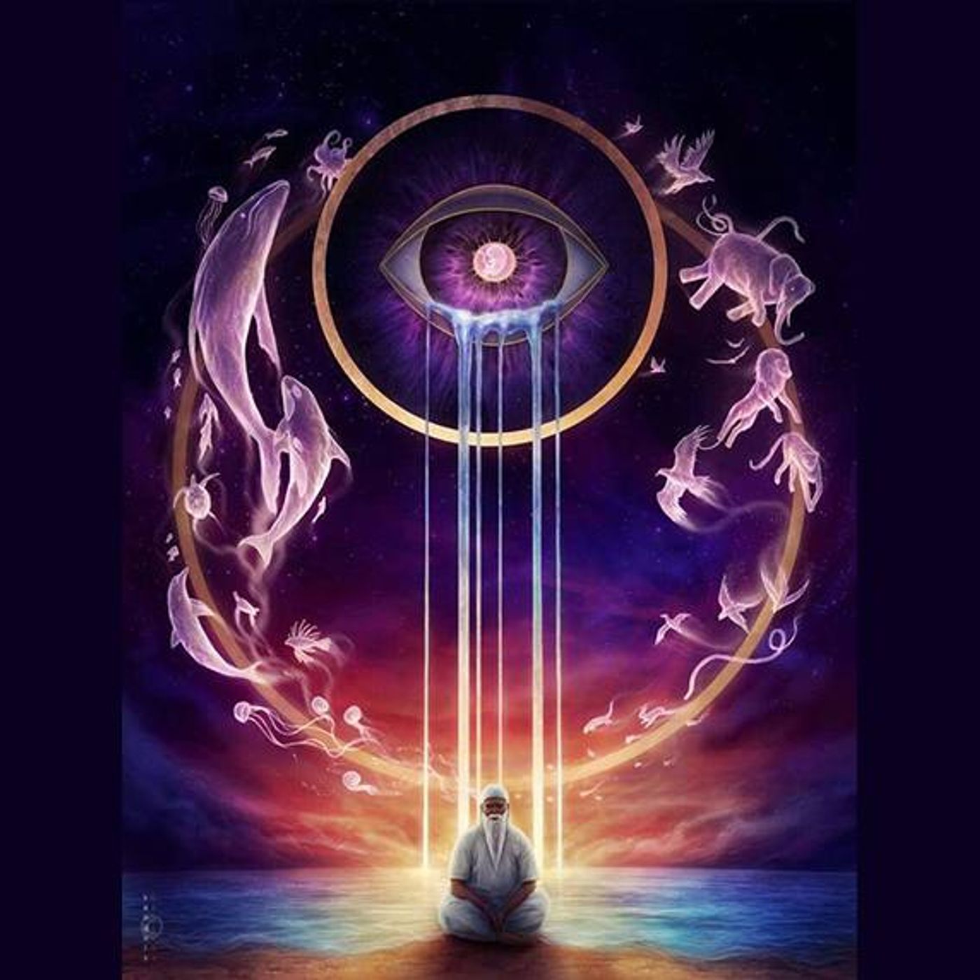 Meditazioni Focalizzate [creazione]