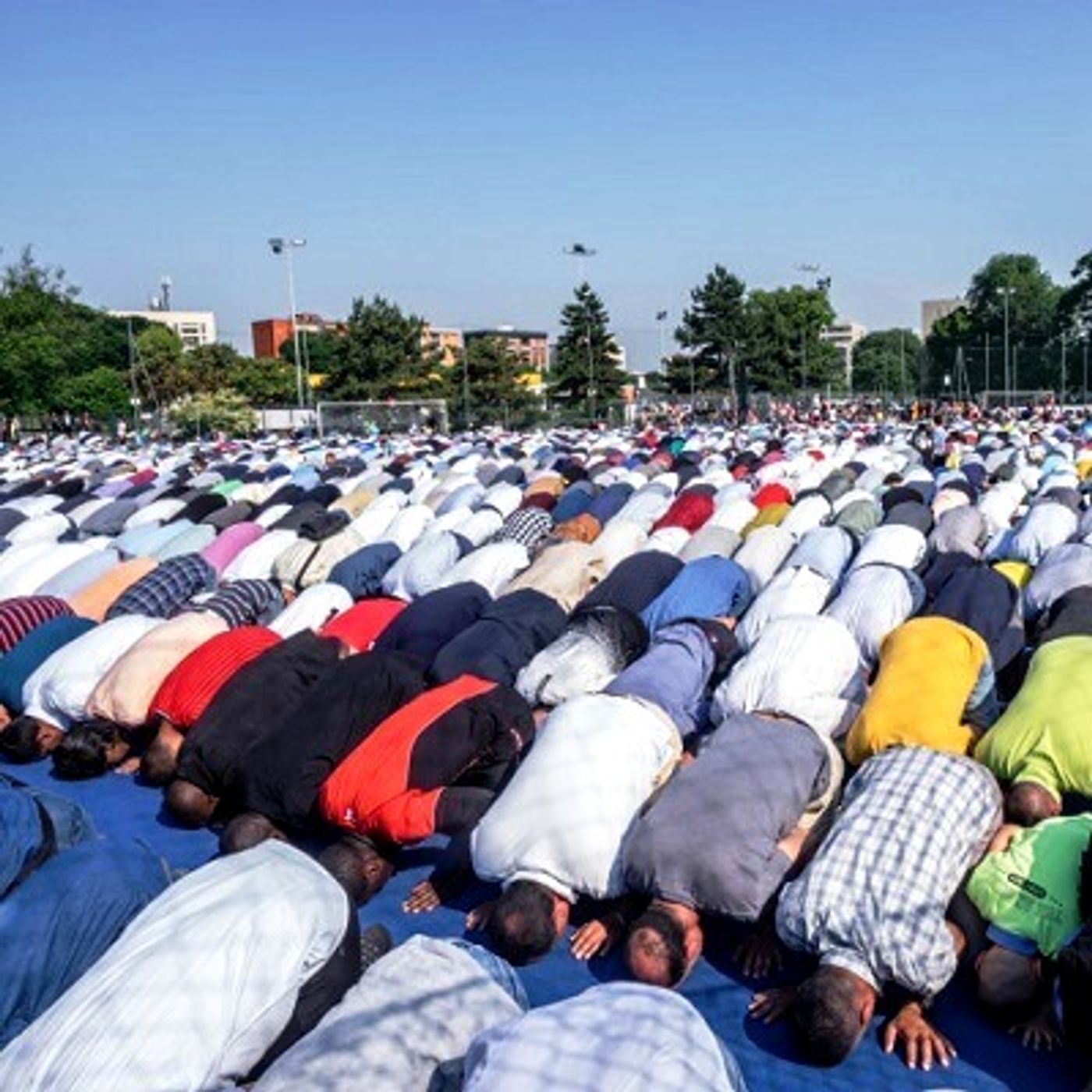 Dalle piazze alle urne, avanza il partito islamico d'Italia