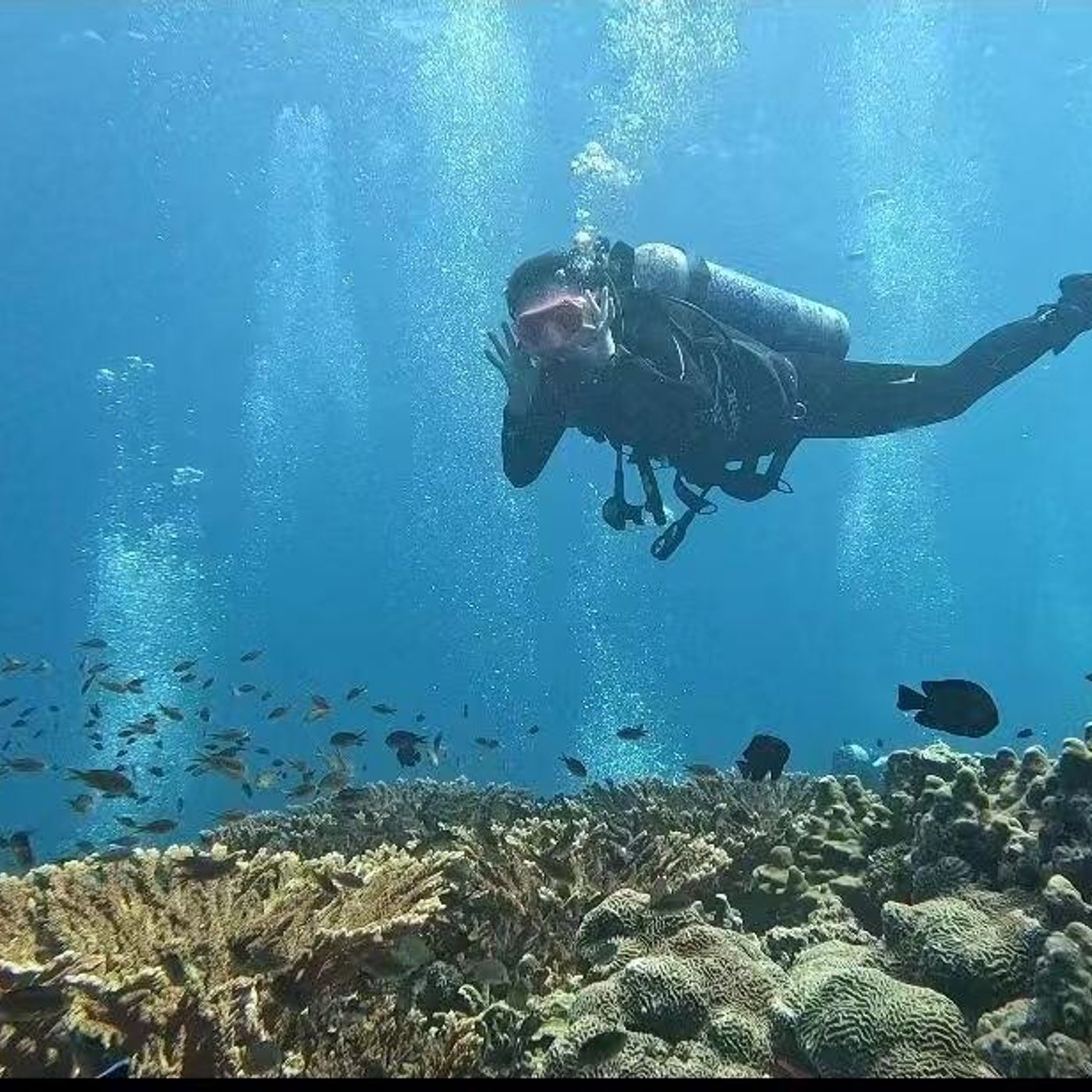 Relatório da ONU revela que oceanos estão mais elevados, aquecidos e poluídos episode artwork