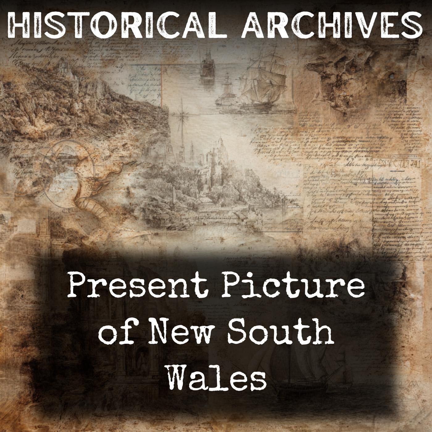 Present Picture of New South Wales