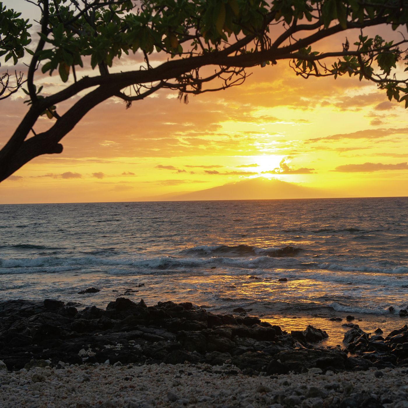 Purificados para el servicio Purificados para el servicio