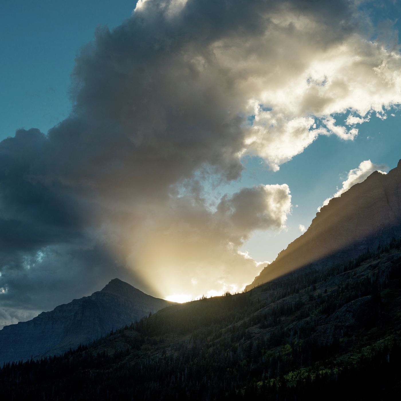 Nuestra labor de amor