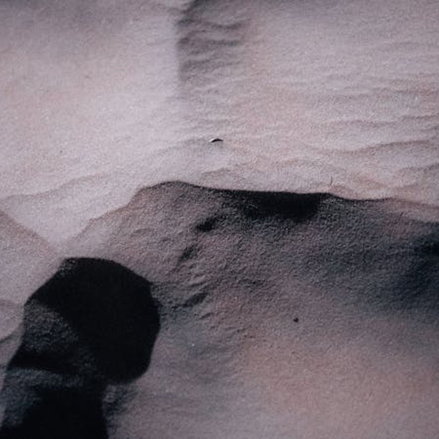 Hope for the Fragile and Fragmented