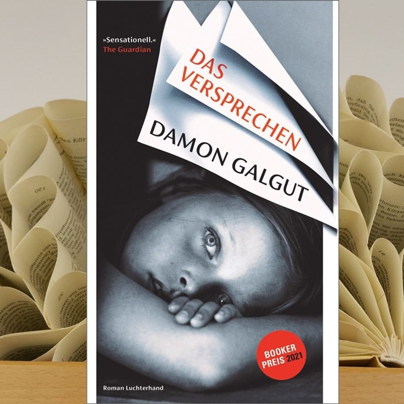 17.12. Damon Galgut - Das Versprechen (Kerstin Morgenstern) episode artwork