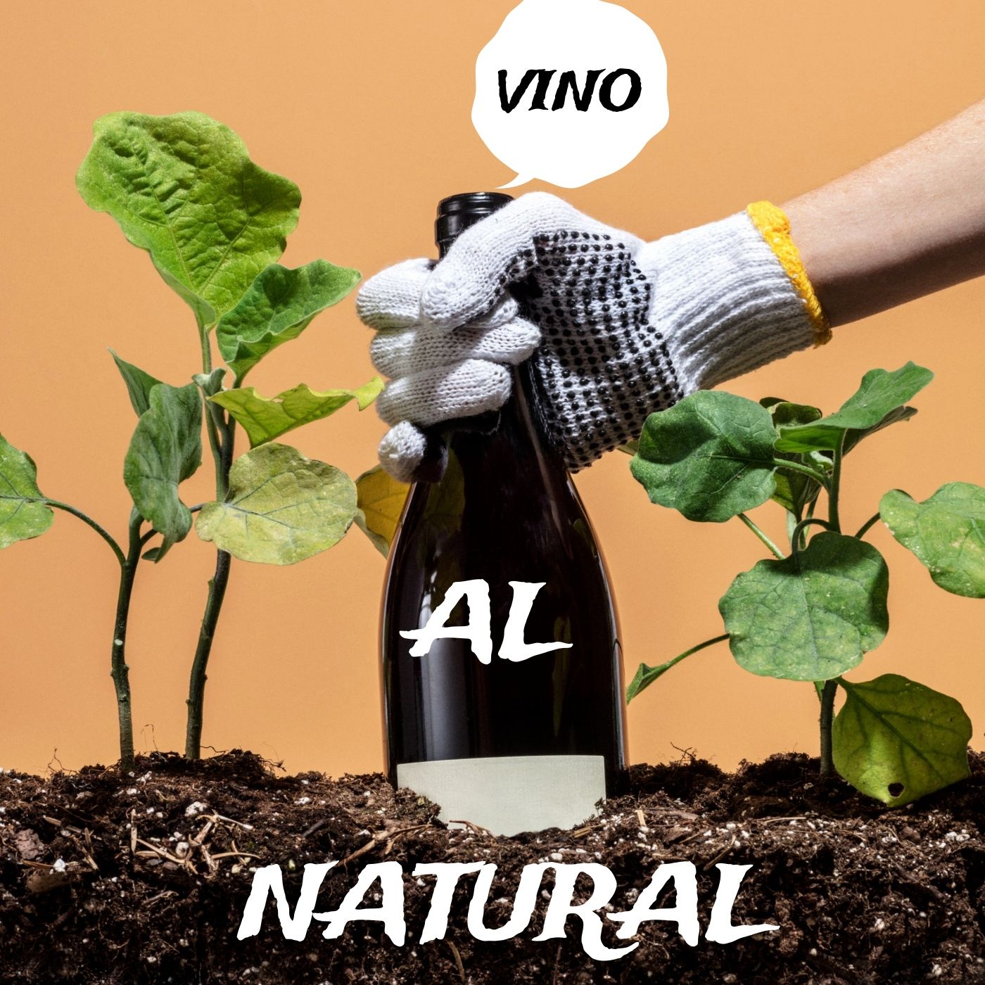 Vino al Natural