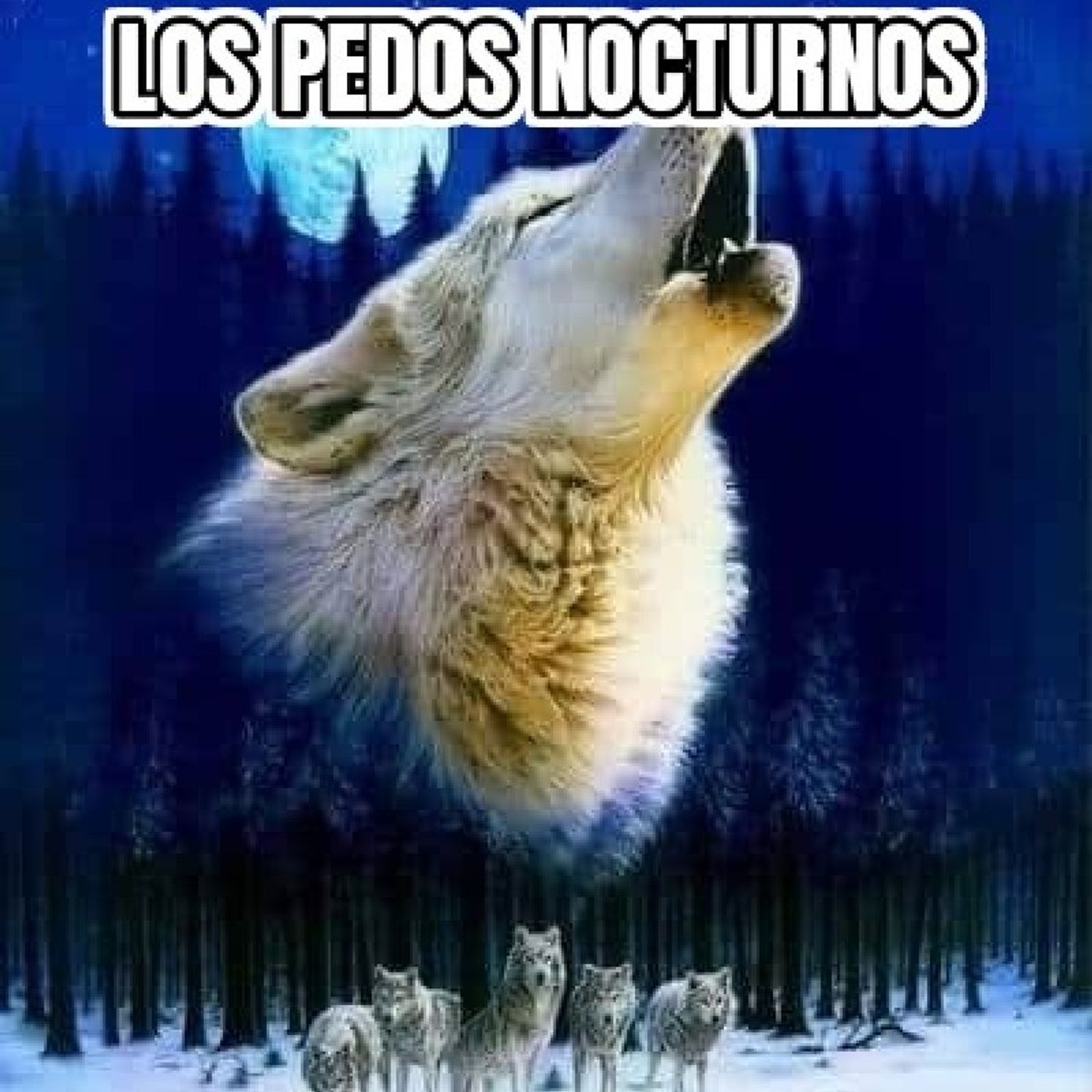 LOS PERROS NOCTURNOS.