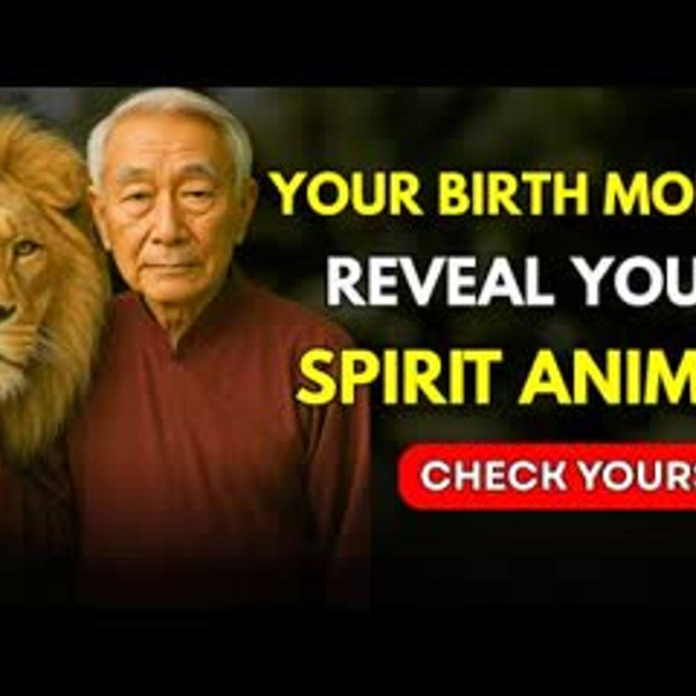 What Your Birthday Month Says About Your Spirit Animal, FIND OUT NOW! ✨   Buddhist Wisdom