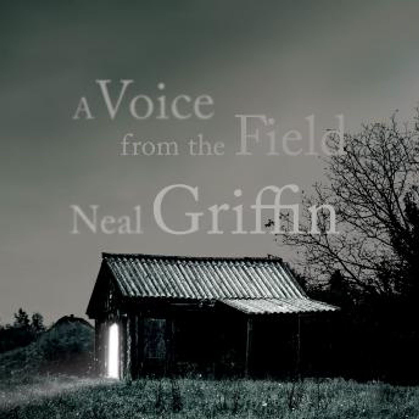 Grab the Essential Full Audiobooks in Mystery, Thriller & Horror, Suspense