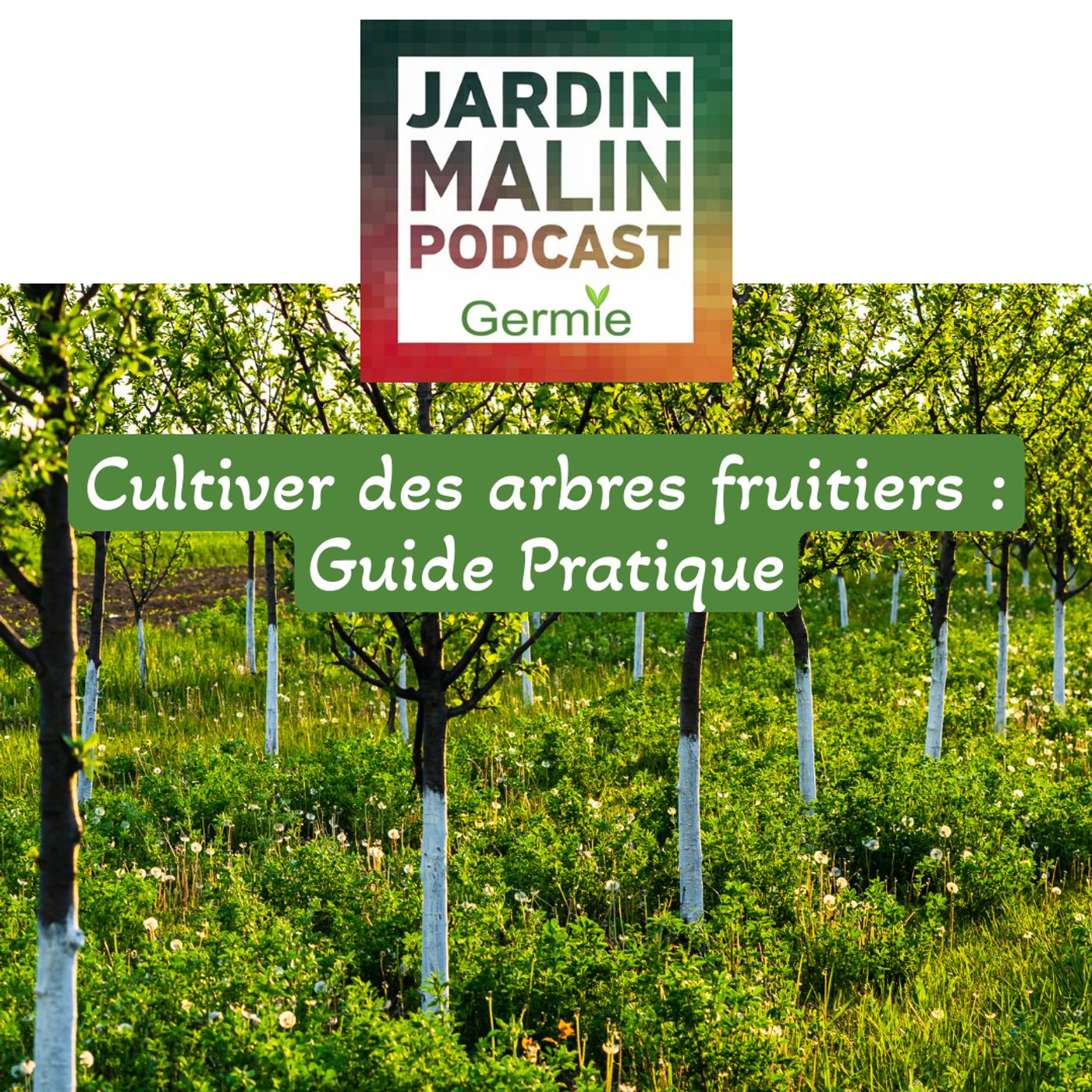 JARDIN MALIN by Germie