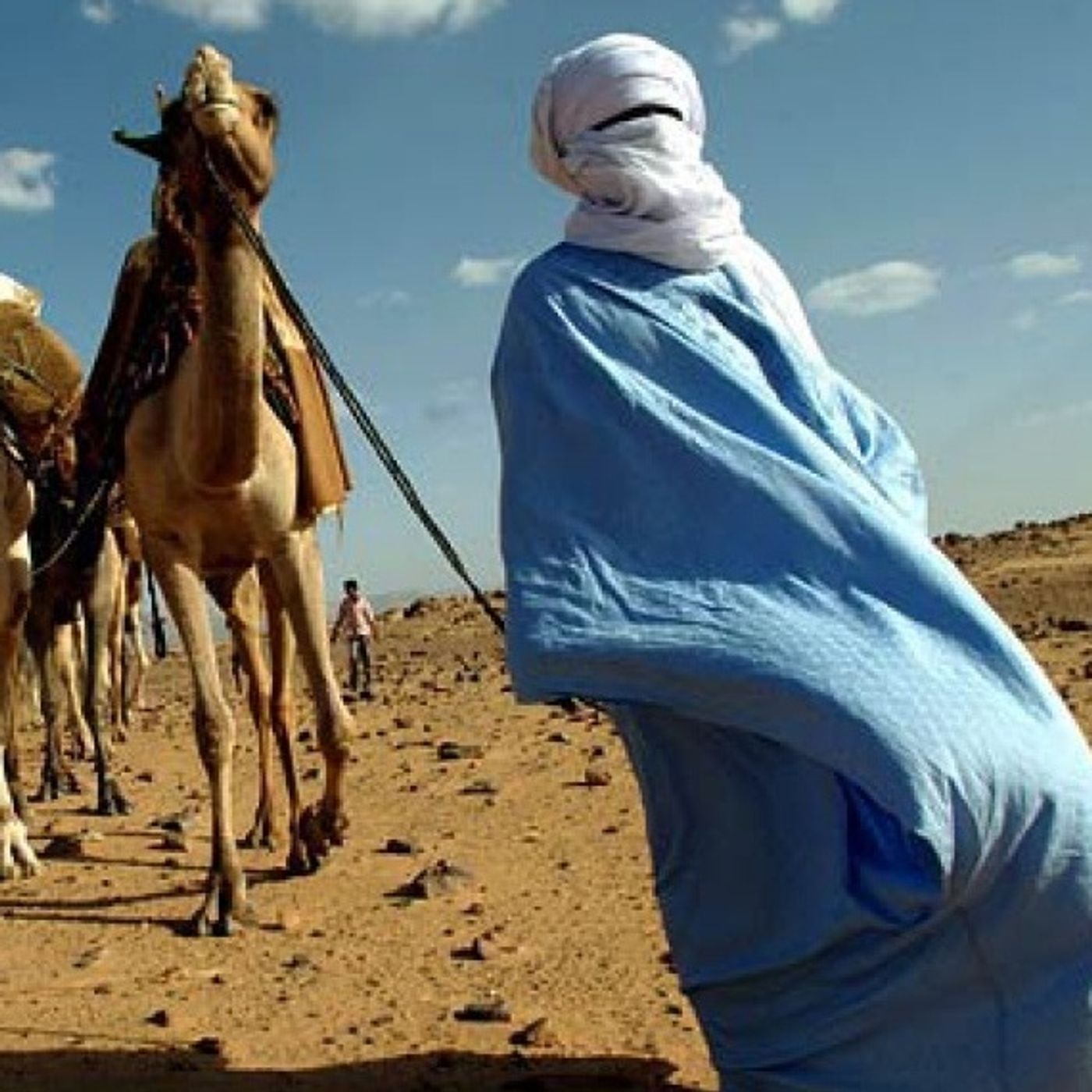 Differenze e omogeneità nelle contigue porosità tra Maghreb e Sahel