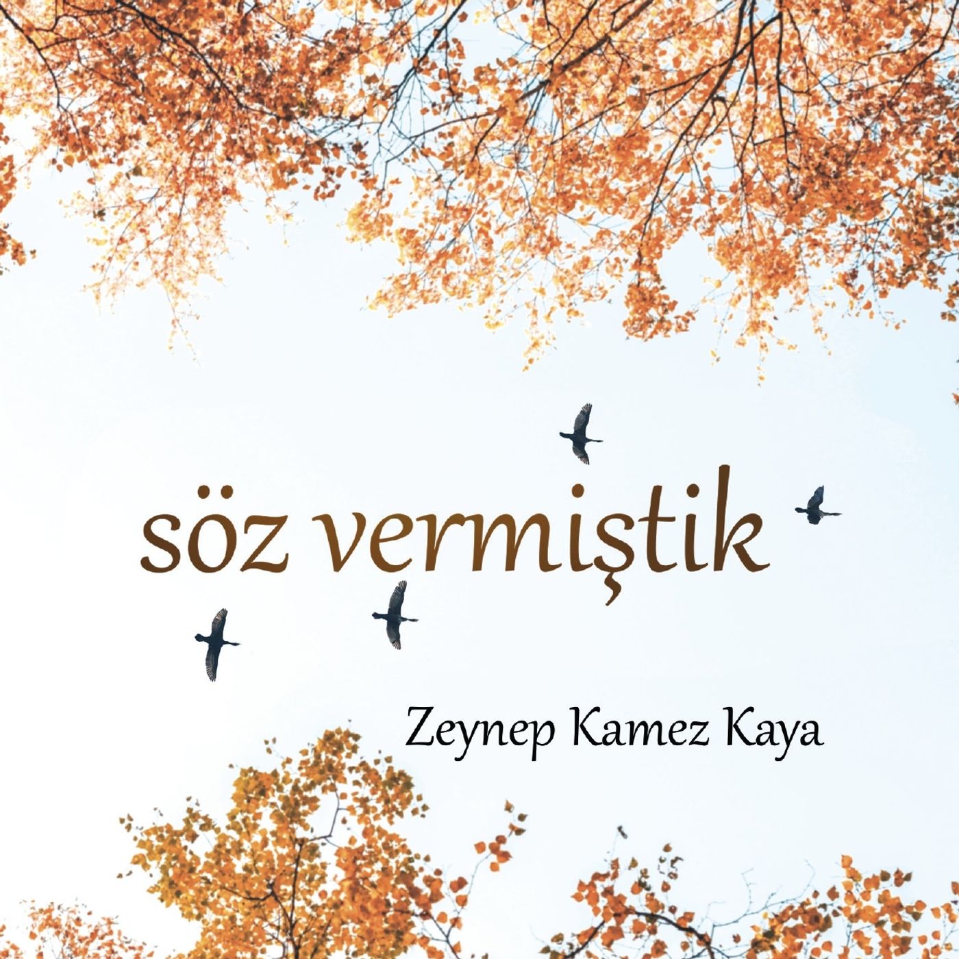 SÖZ VERMİŞTİK podcast artwork