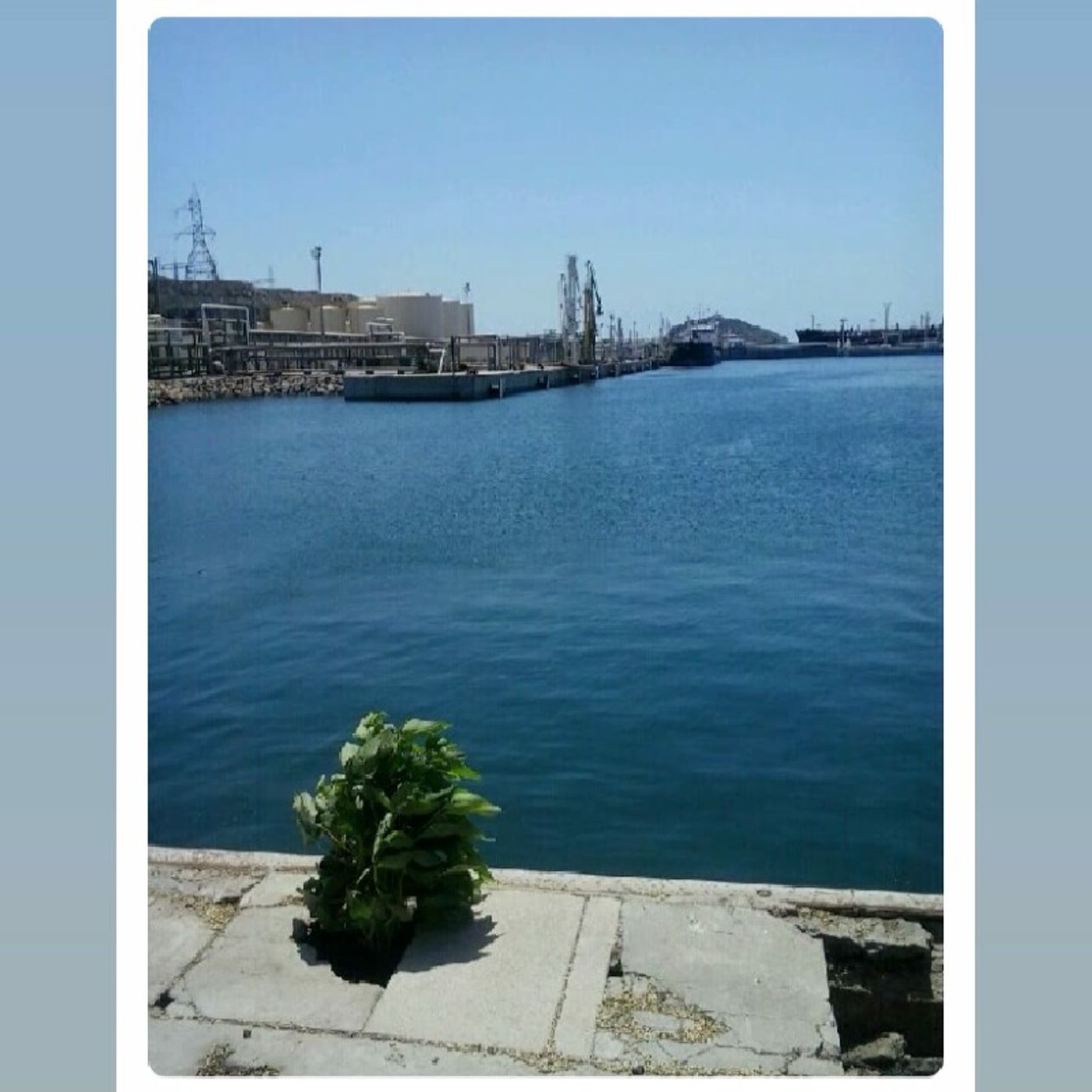 El show de Raul Martínez Hernández Clive