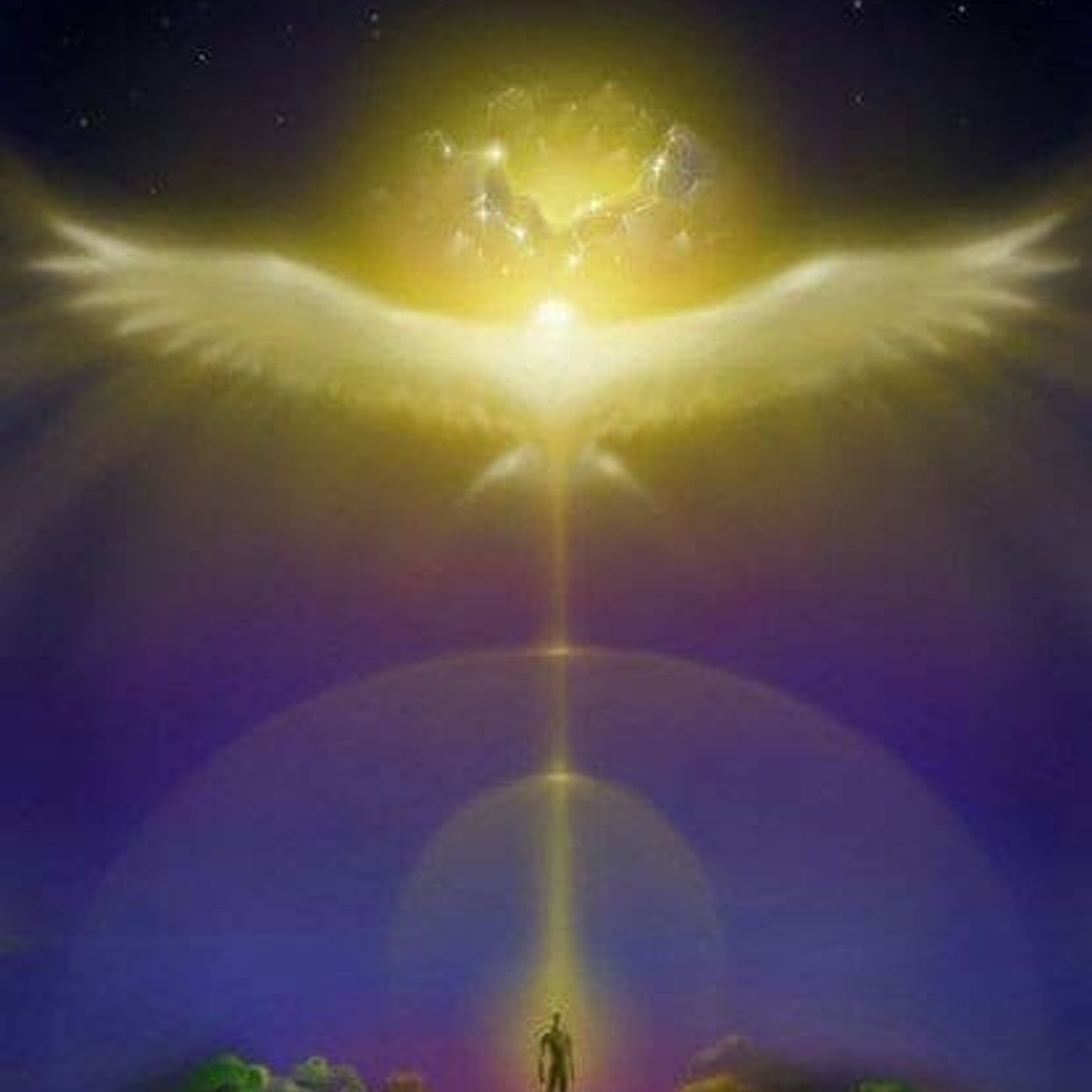 El show de Angel Reyes