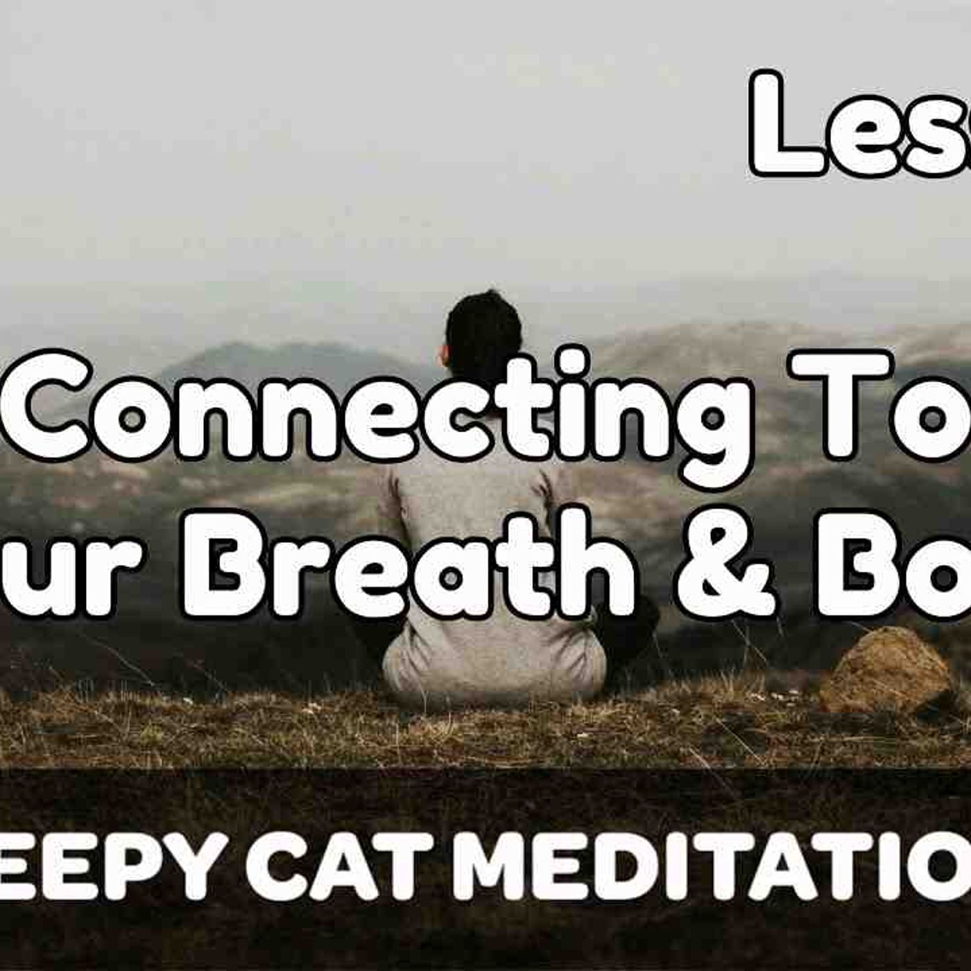 Lesson 1_ Connecting To Your Breath _ Body (Beginner Breathwork Course)(MP3_160K) episode artwork