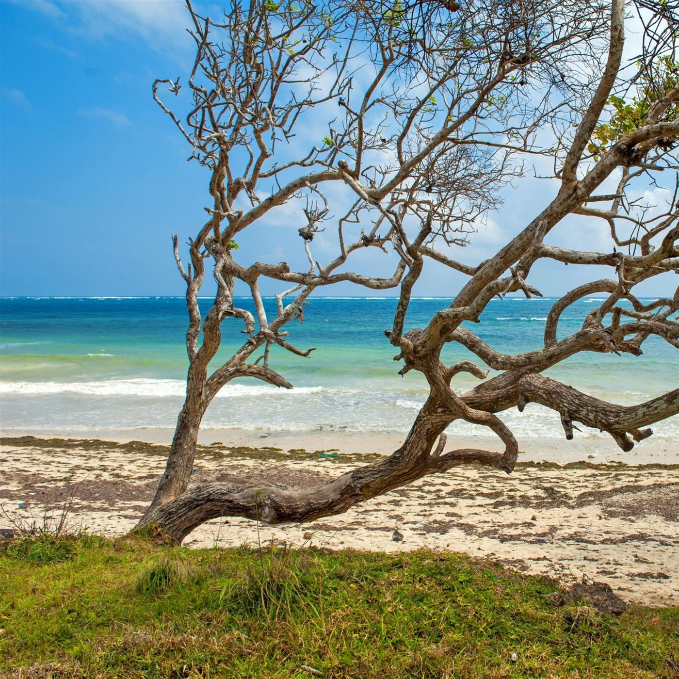 Sleep Sounds by Tmsoft