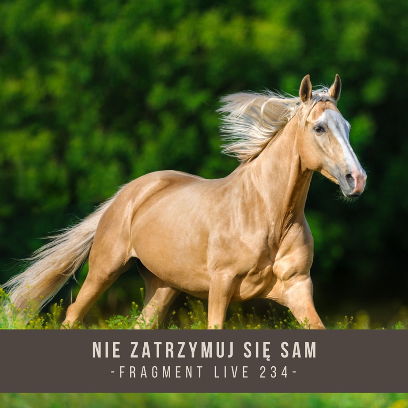 Nie zatrzymuj się sam - fragment live 234