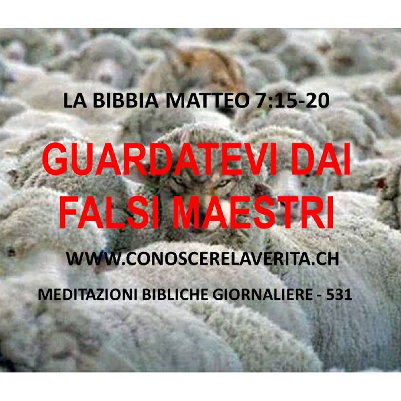 MEDITAZIONI BIBLICHE GIORNALIERE