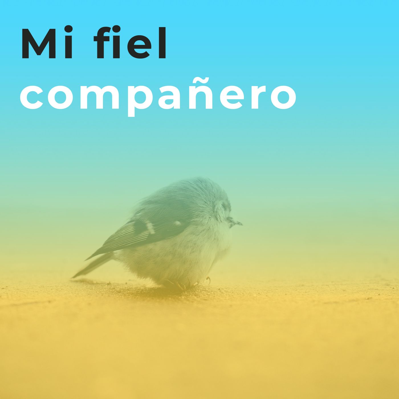 Todo Cambia