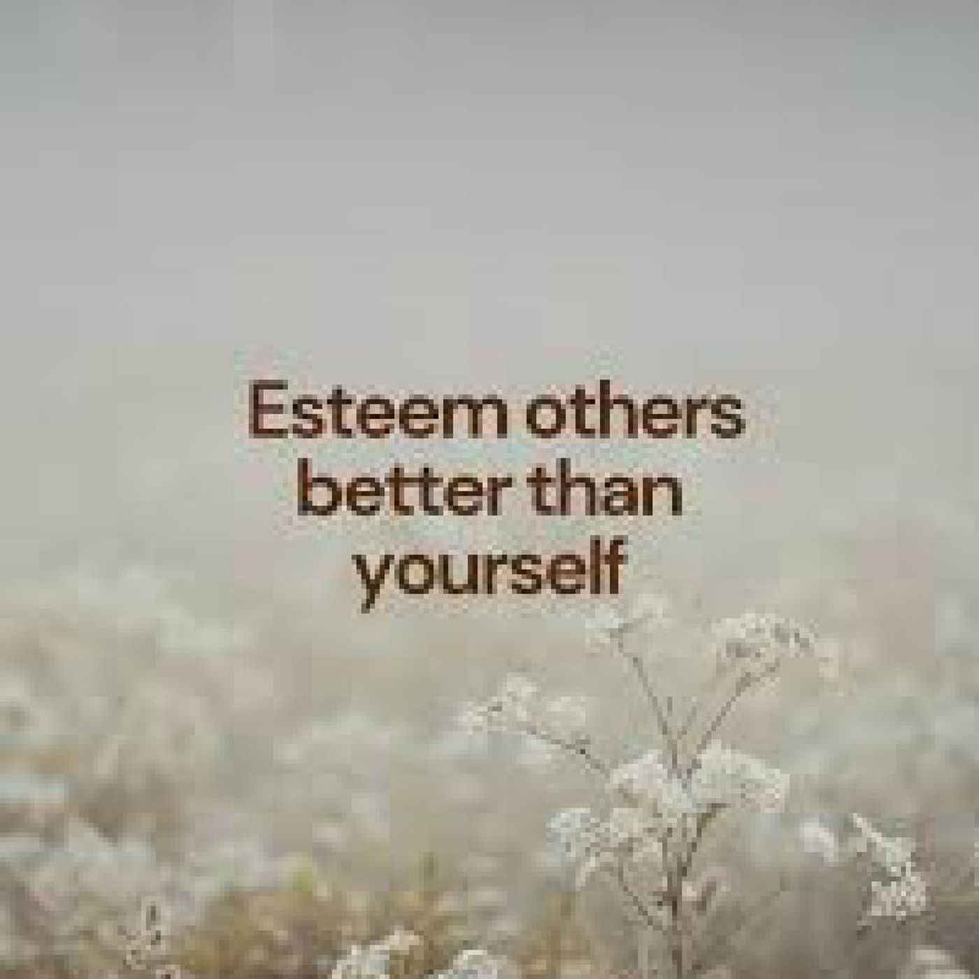 Episode 627 - Preachify Daily Devotion: ESTEEM OTHERS BETTER THAN YOURSELF (PHIL 2:3)