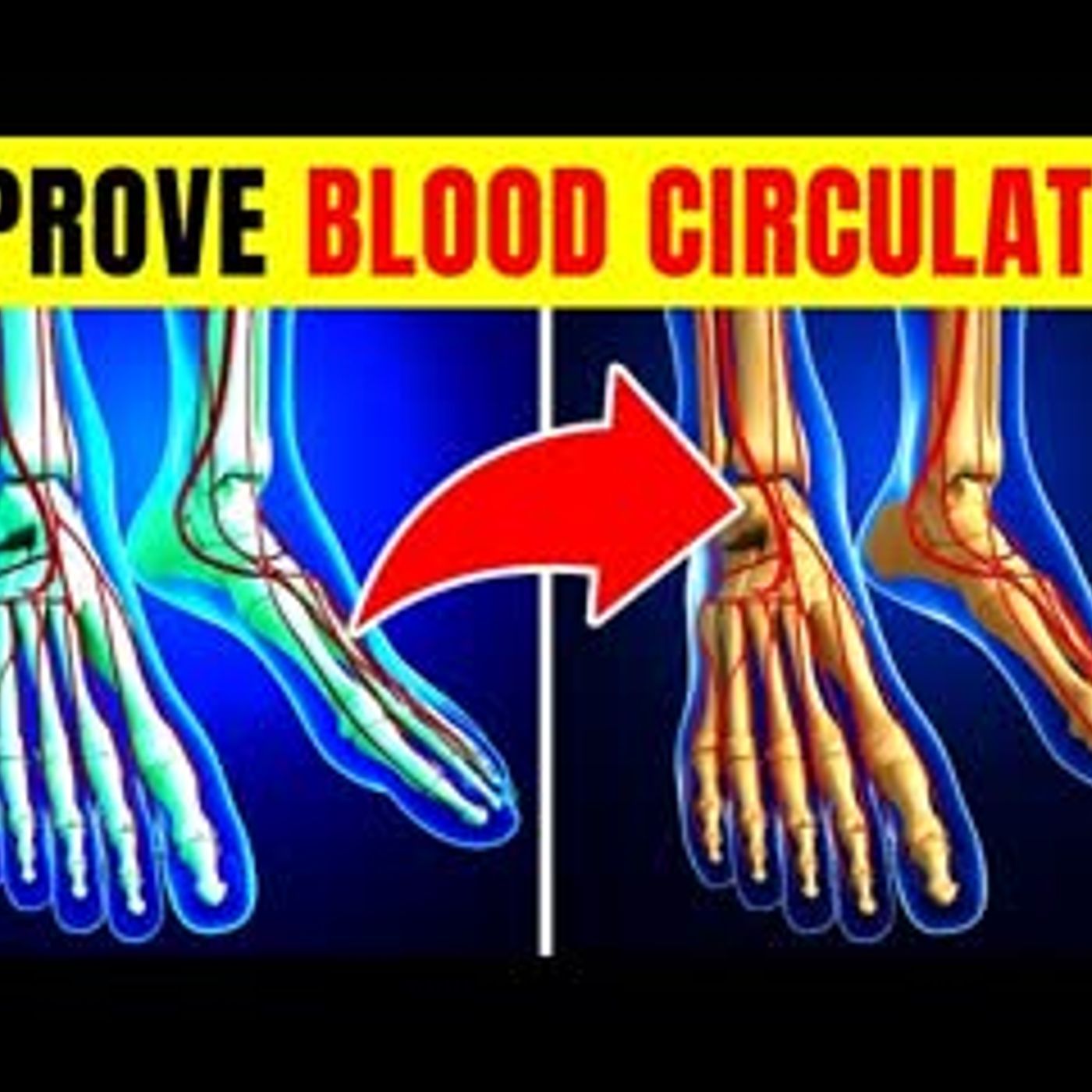12 SUPERFOODS That Improve Blood Circulation In Your Leg episode artwork