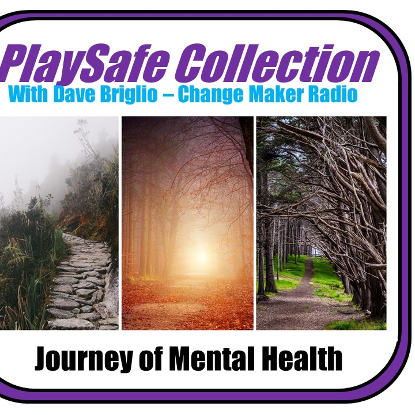 PlaySafe Collection